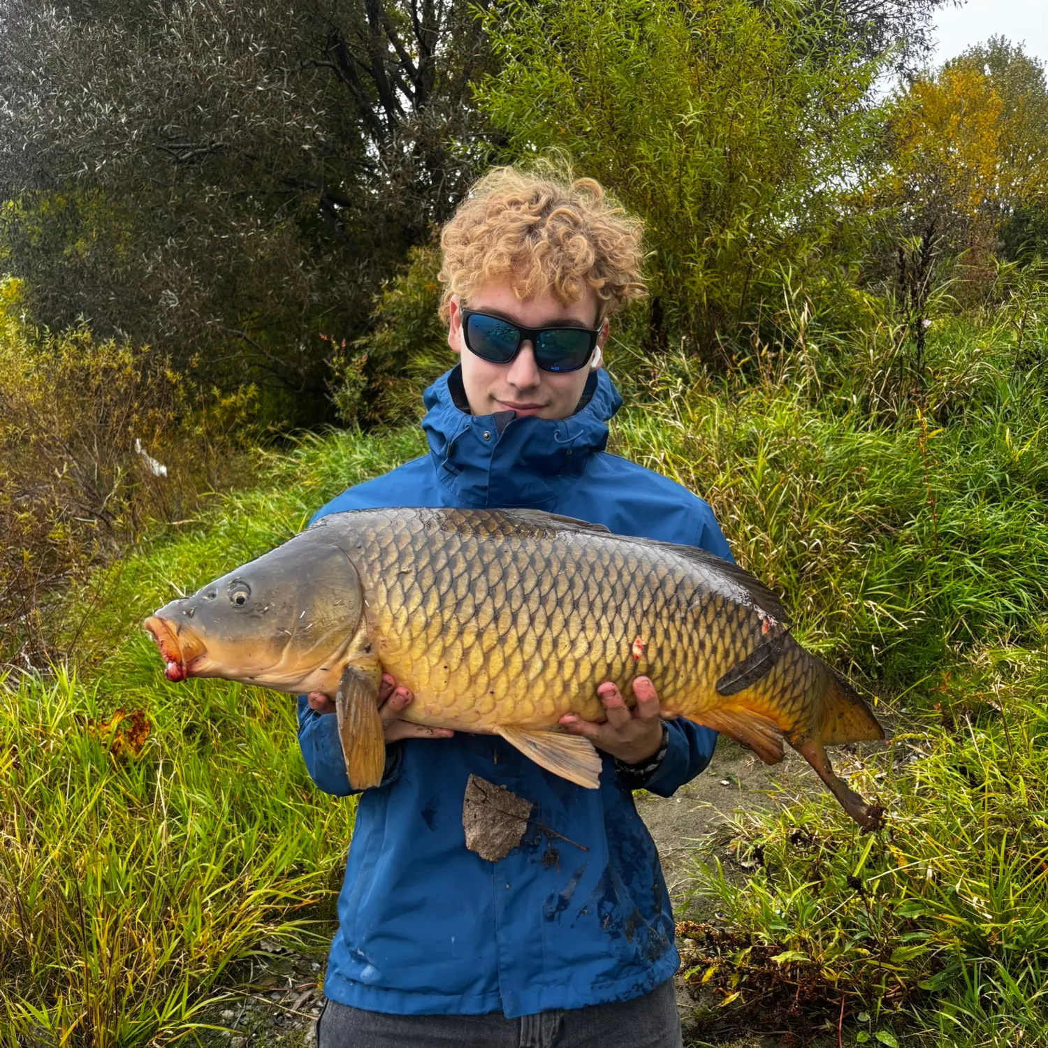 Common carp caught on Fishbrain