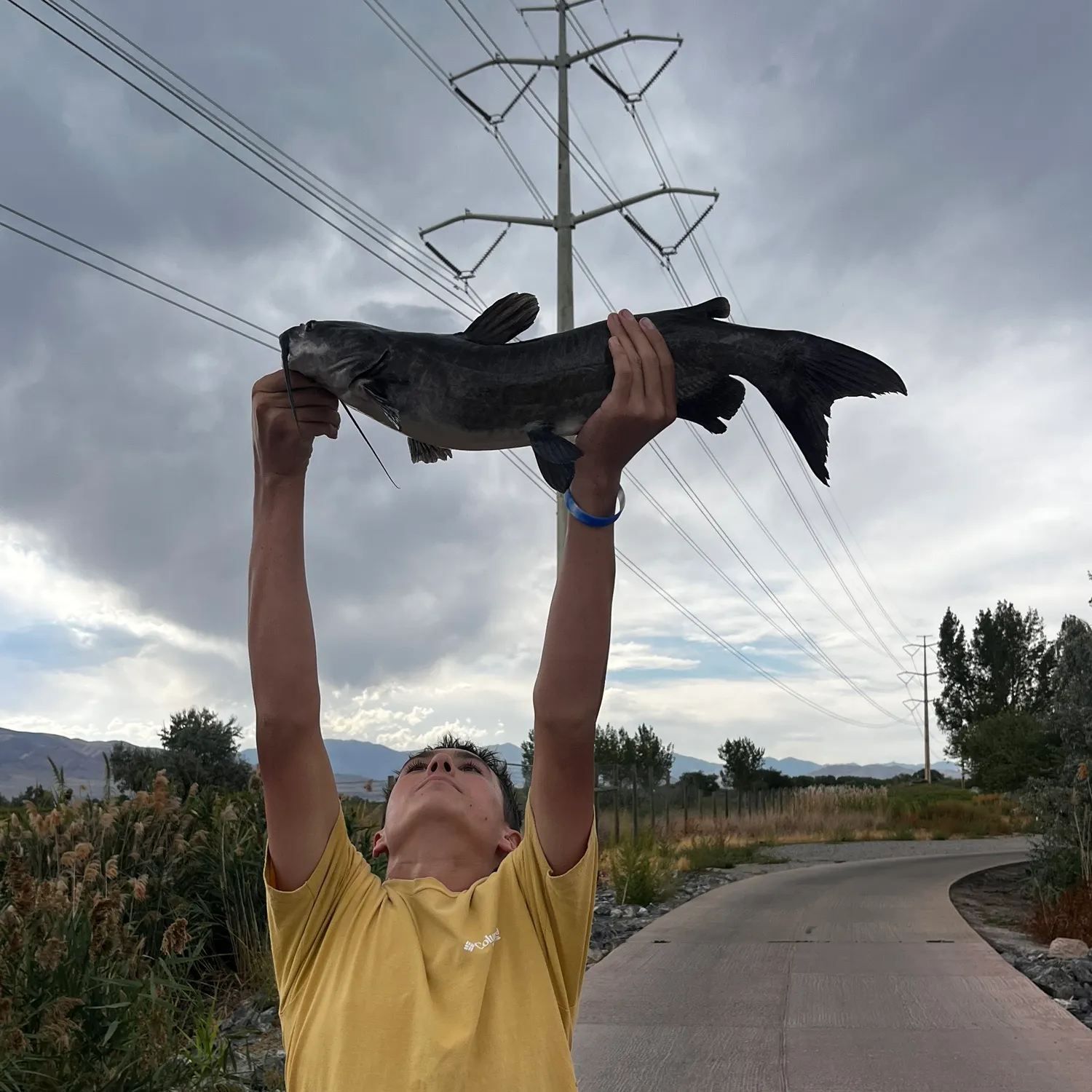 Channel catfish caught on Fishbrain