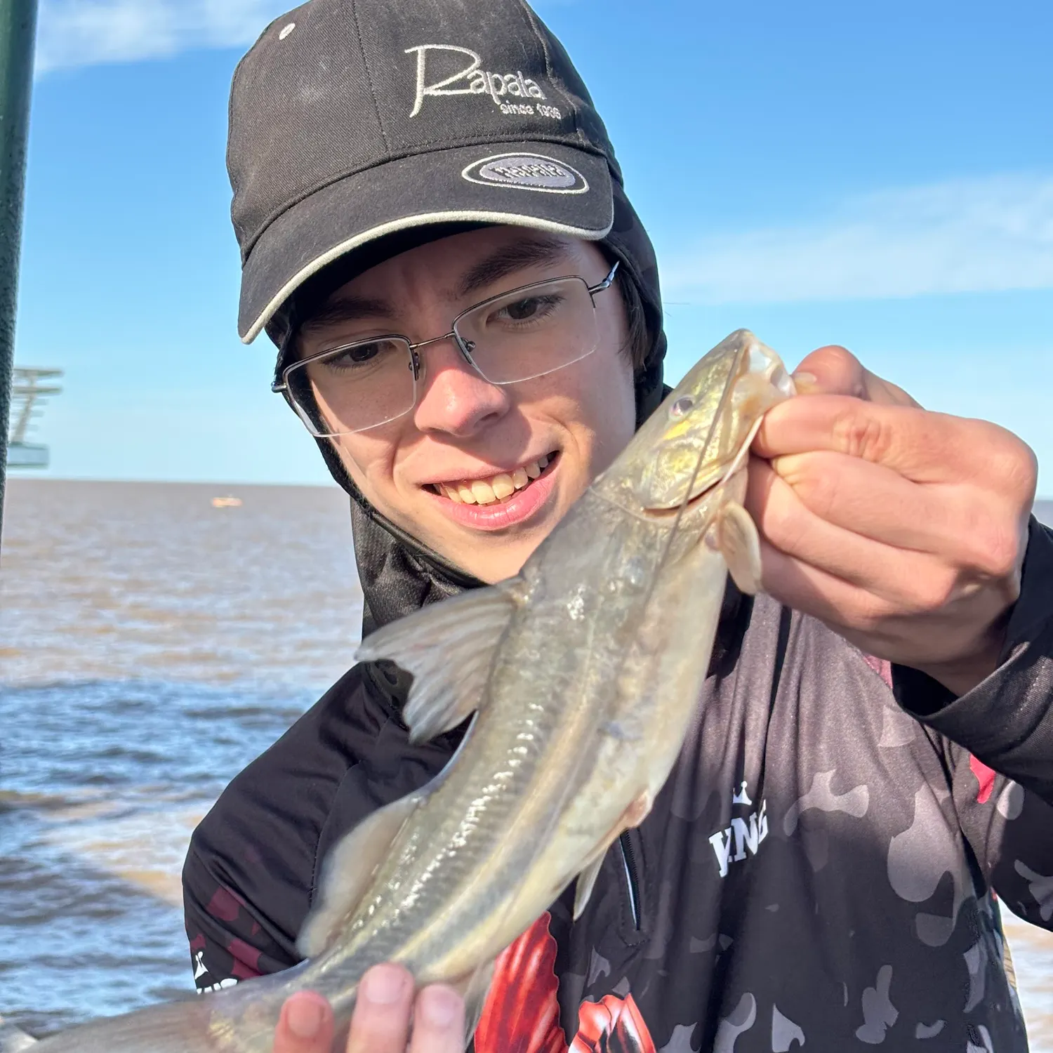 The most recent White pimelodus catches on Fishbrain