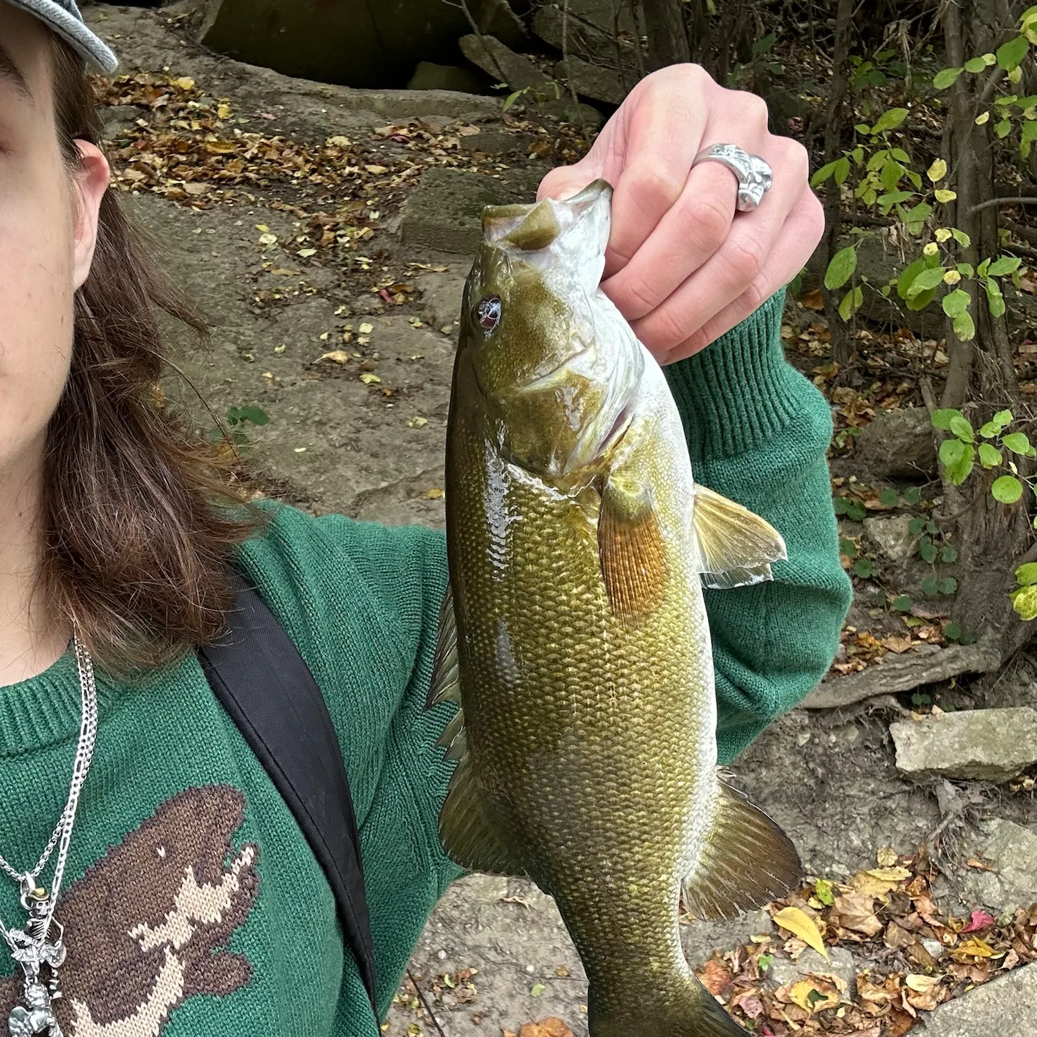 Smallmouth bass caught on Fishbrain