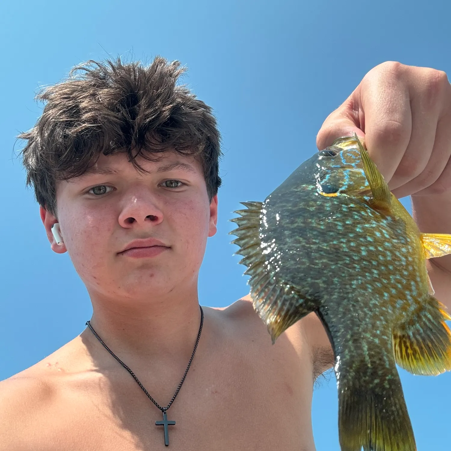 Greengill hybrid caught on Fishbrain