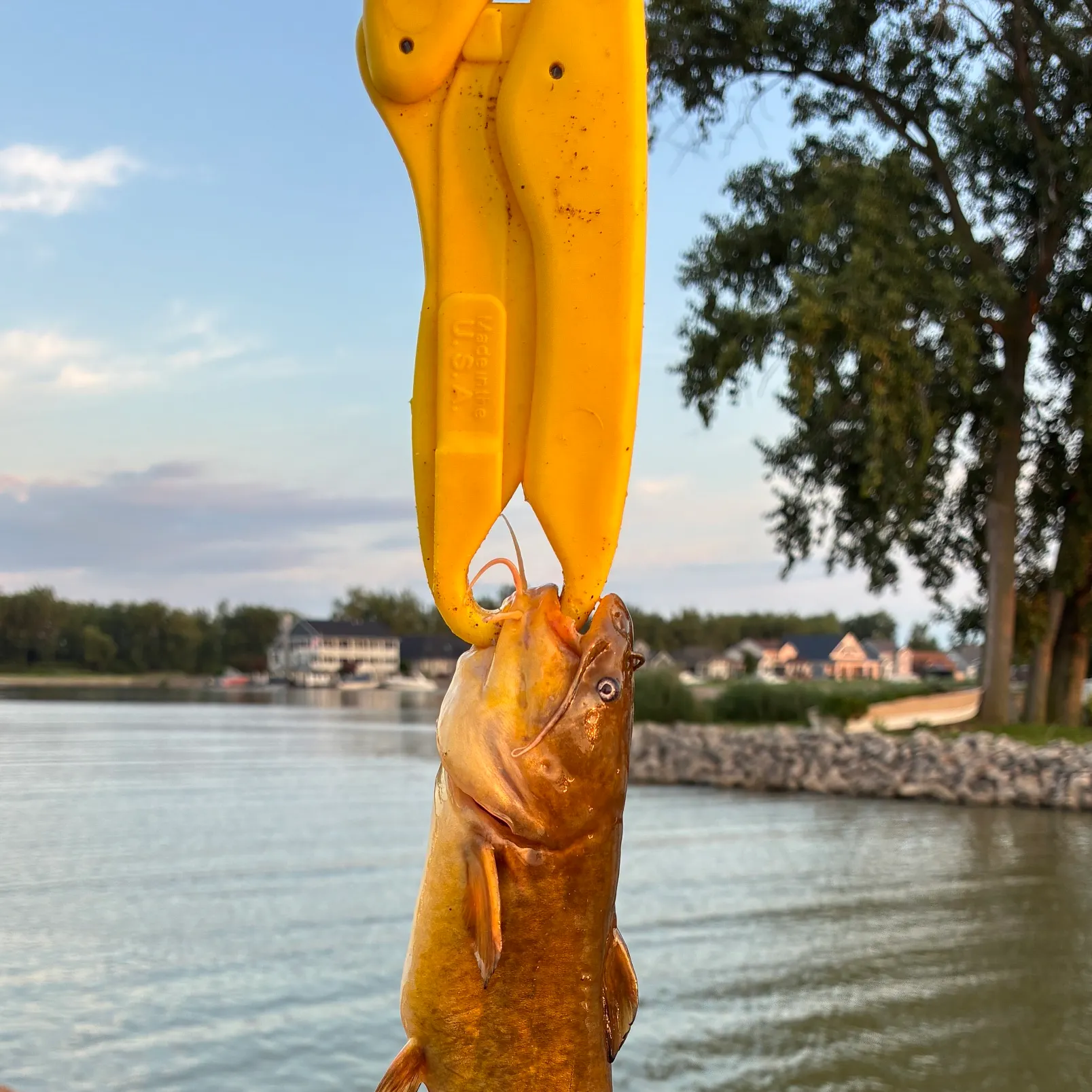 catch