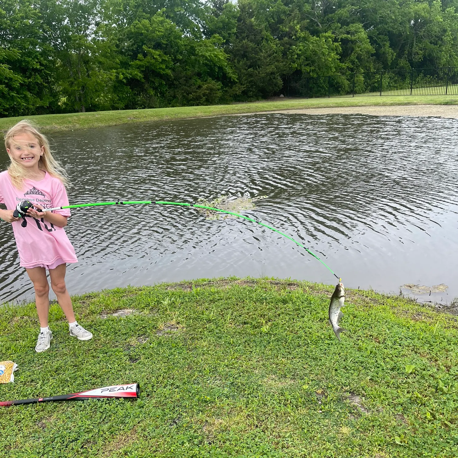 The most popular recent Striped catfish catch on Fishbrain