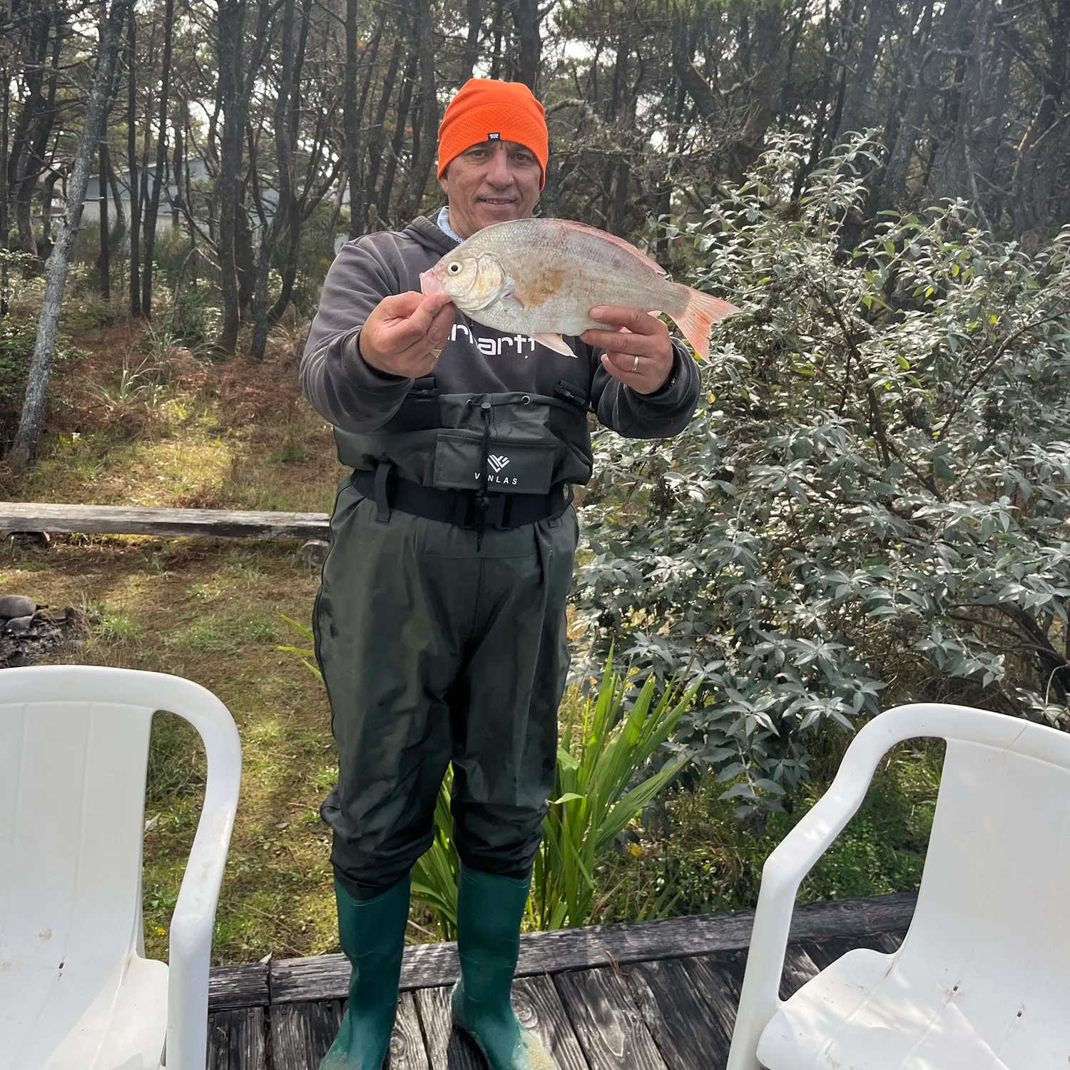 The most recent Redtail surfperch catches on Fishbrain
