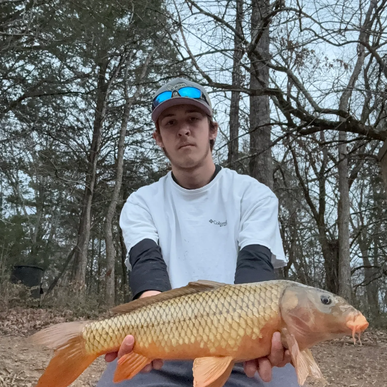 The most recent Koi x common carp catches on Fishbrain