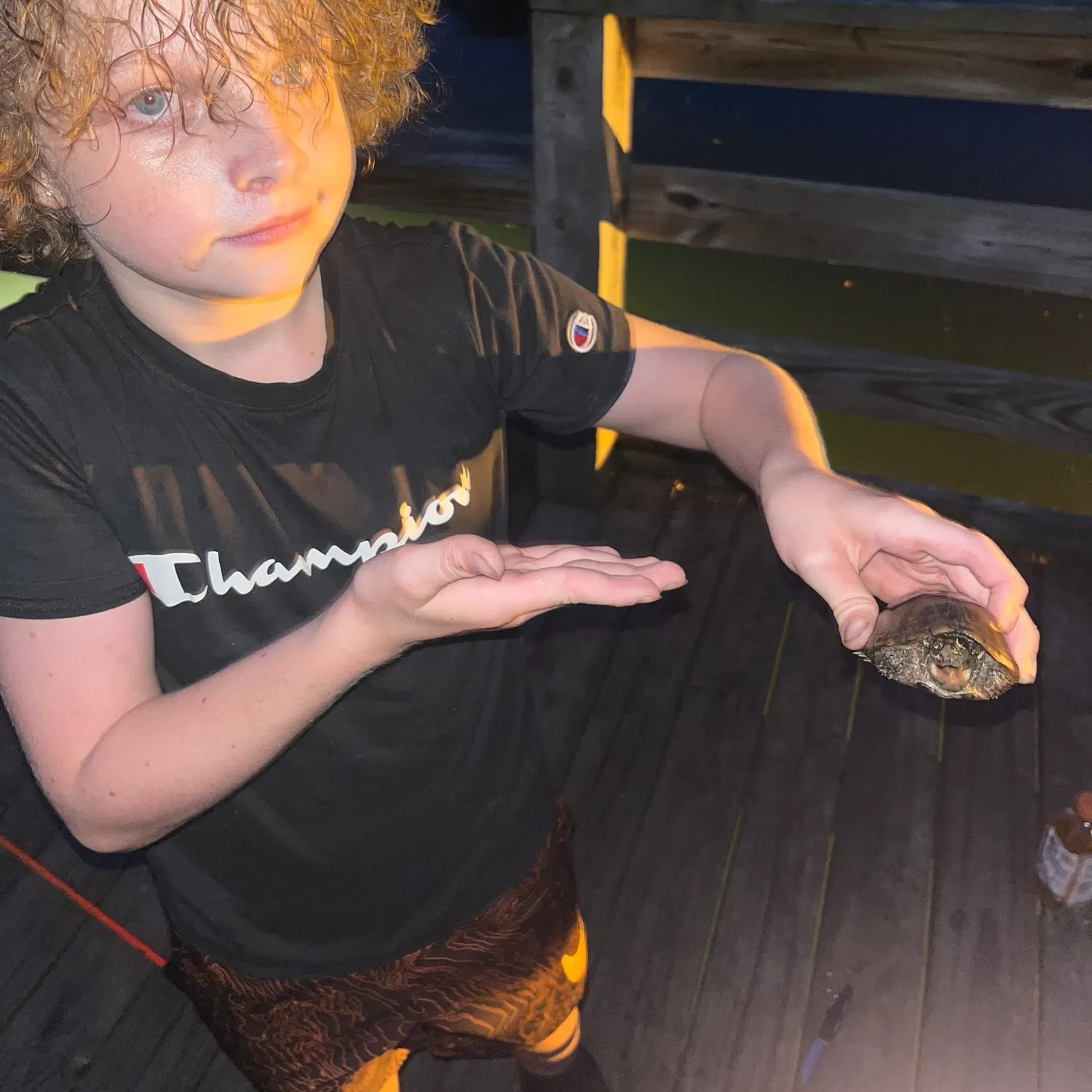 The most recent Alligator snapping turtle catches on Fishbrain