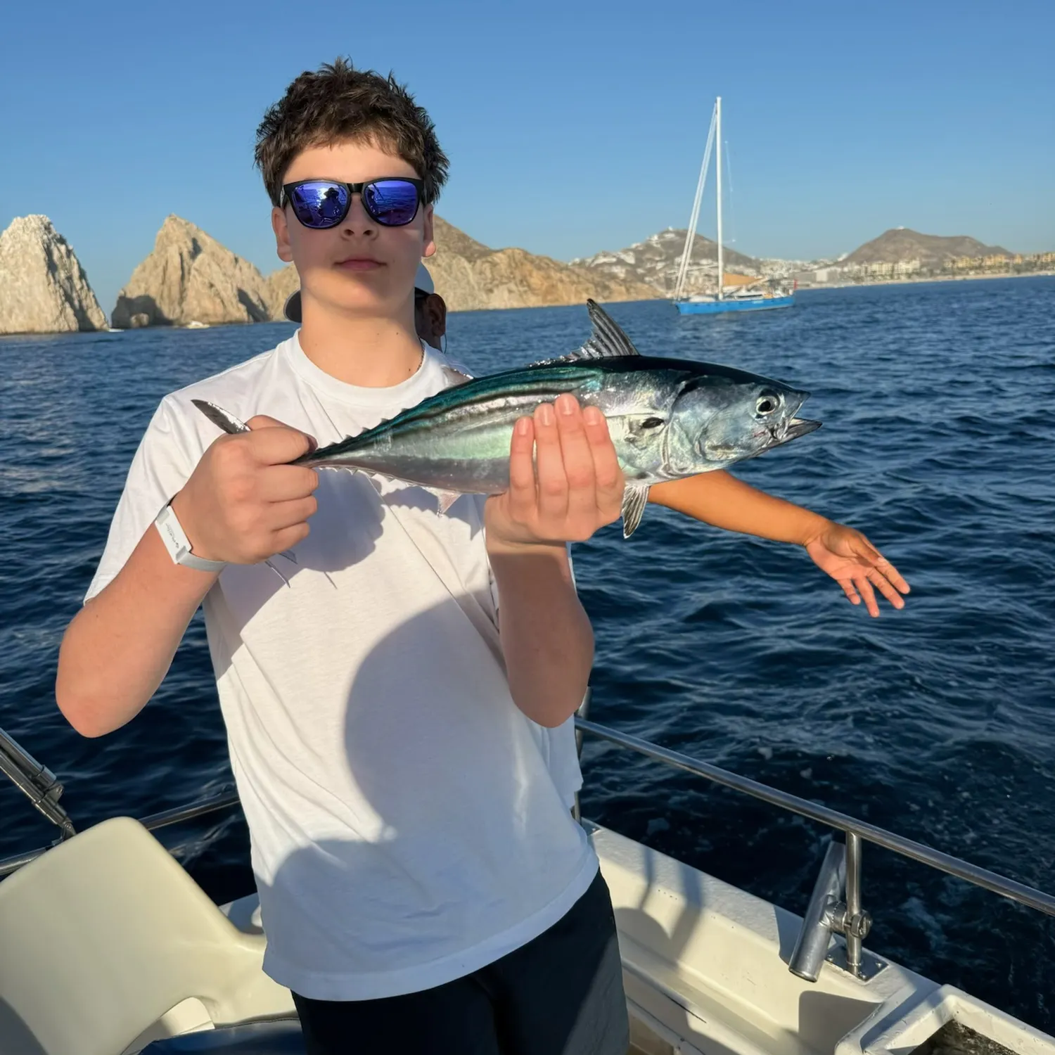 The most recent Skipjack tuna catches on Fishbrain