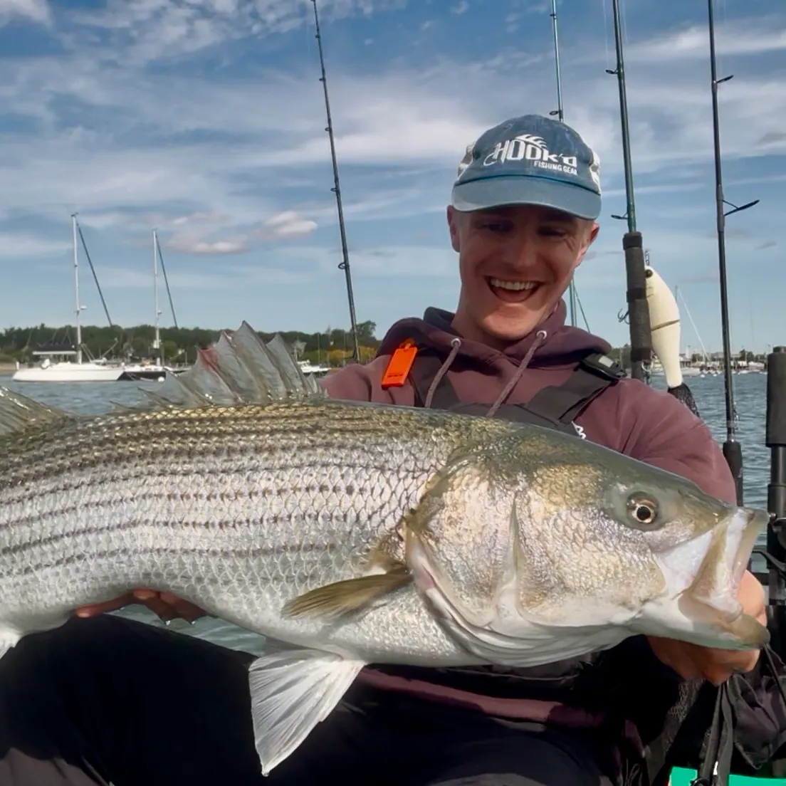 Striped bass caught on Fishbrain