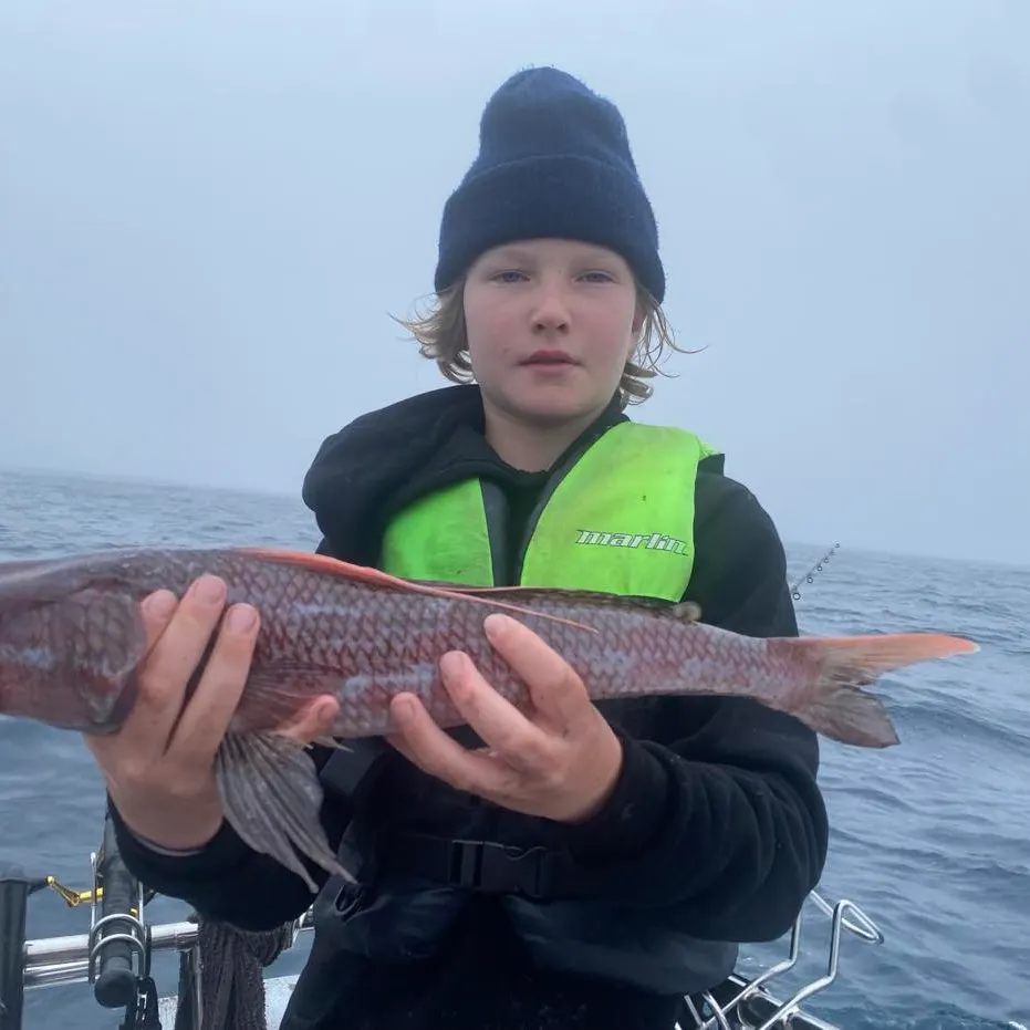 Sergeant Baker caught on Fishbrain