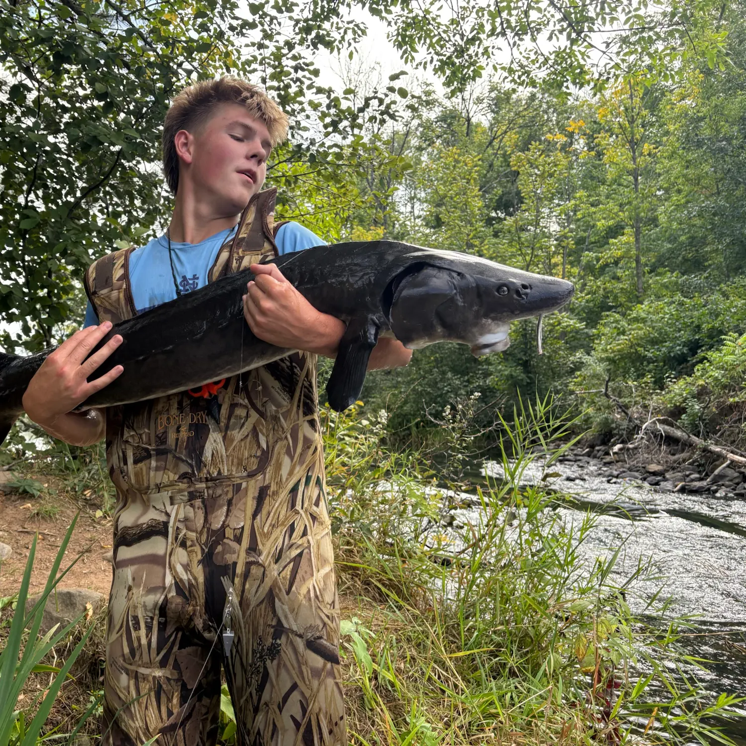 Lake sturgeon caught on Fishbrain