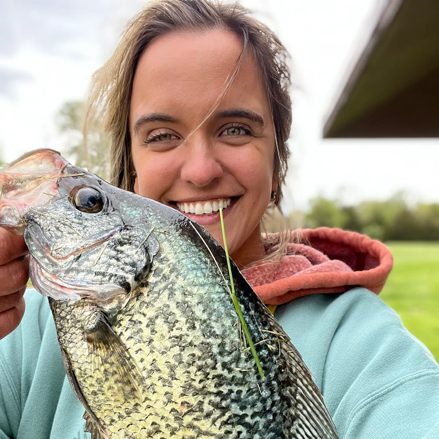 Black crappie caught on Fishbrain
