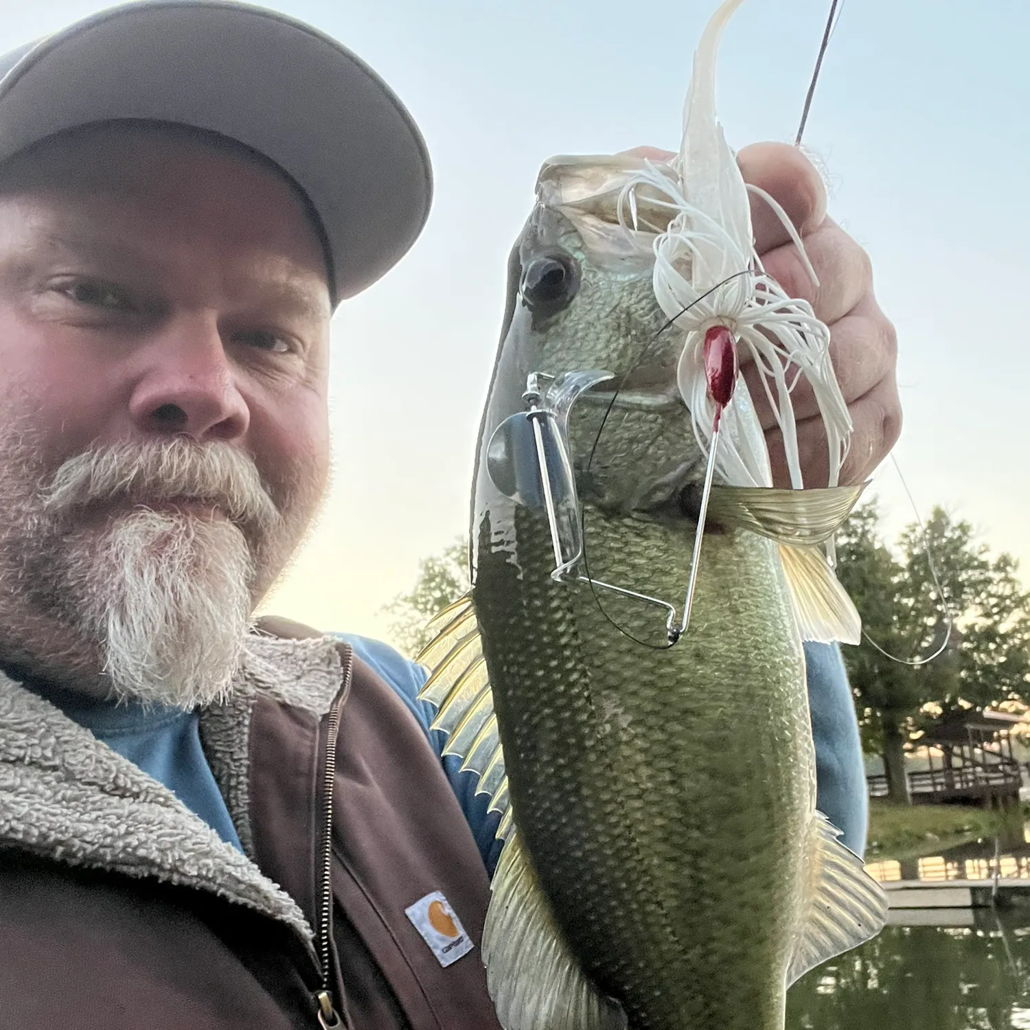 Largemouth bass caught on Fishbrain