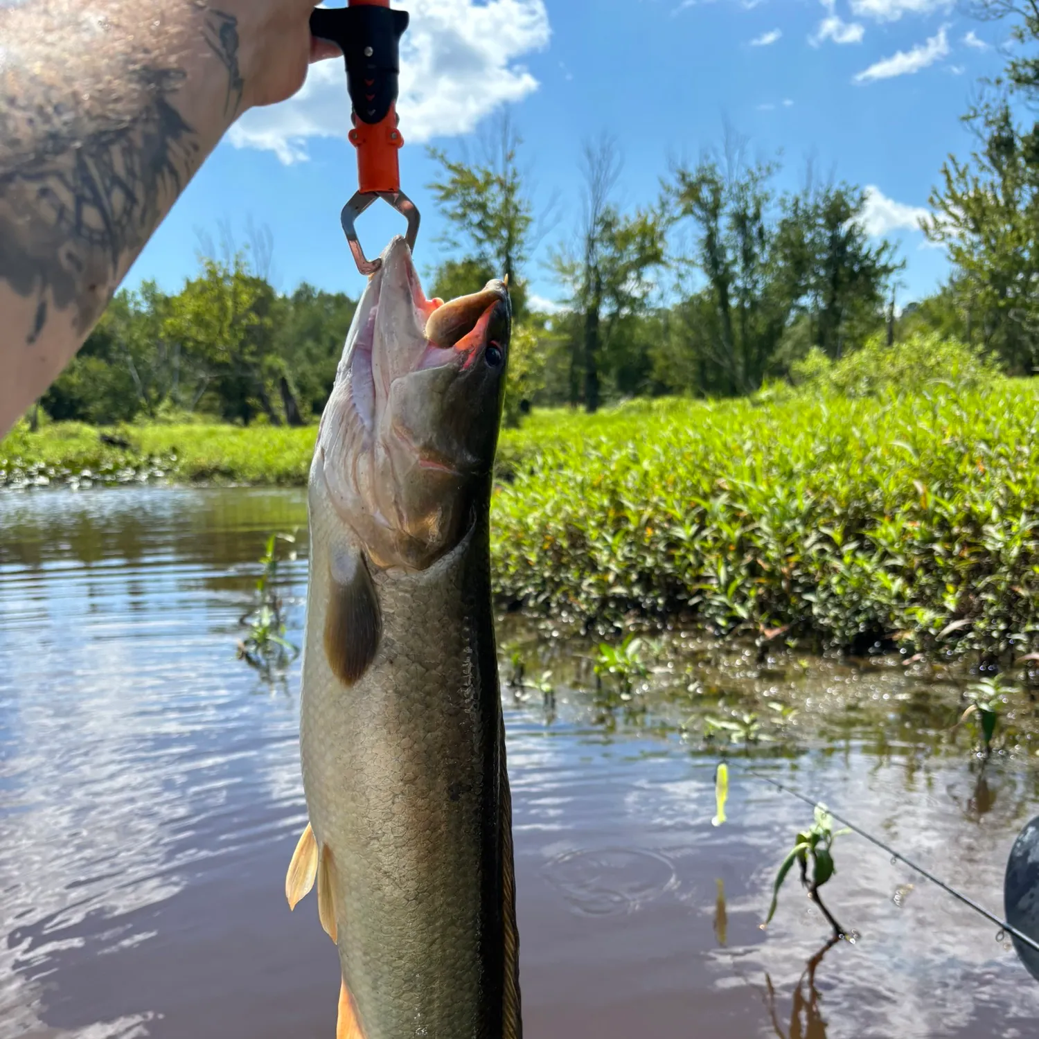 catch