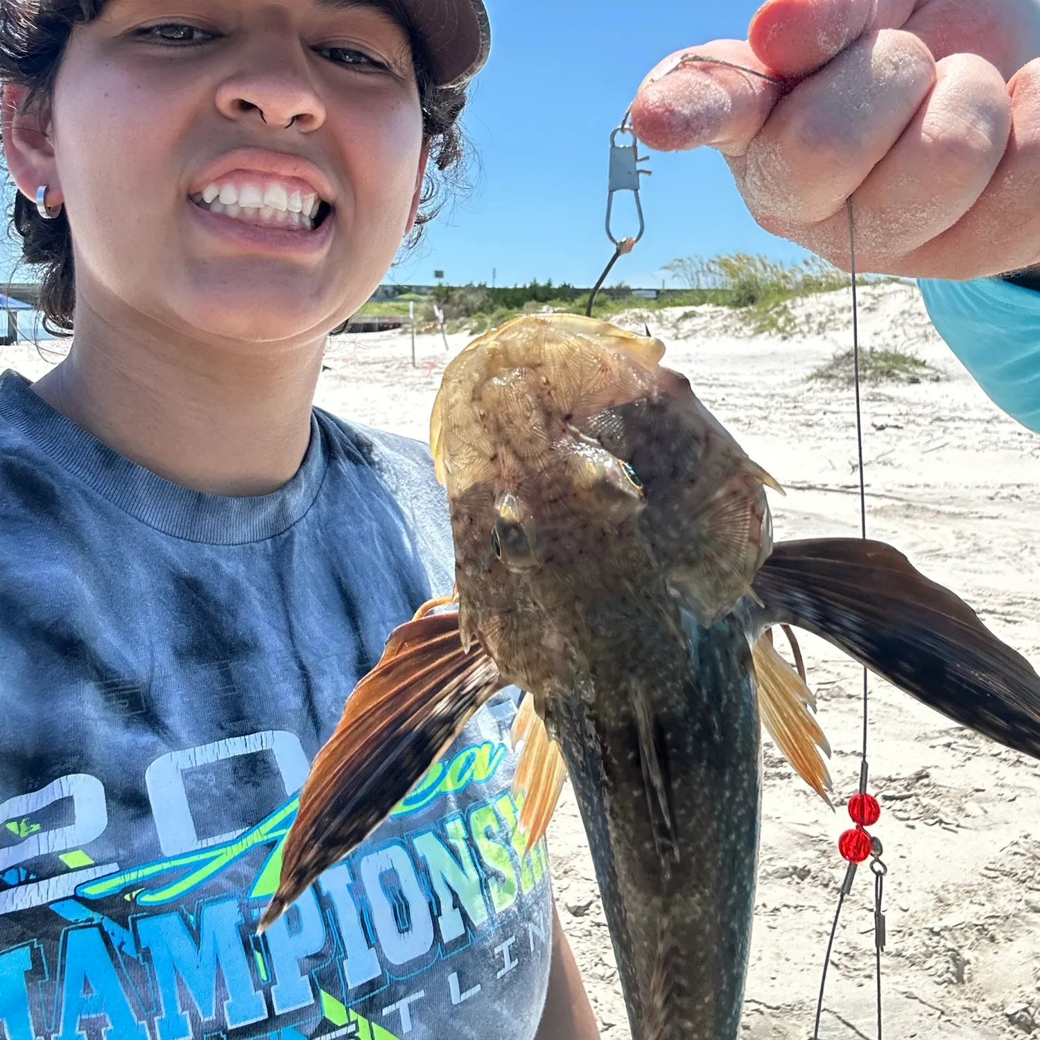 Striped searobin caught on Fishbrain