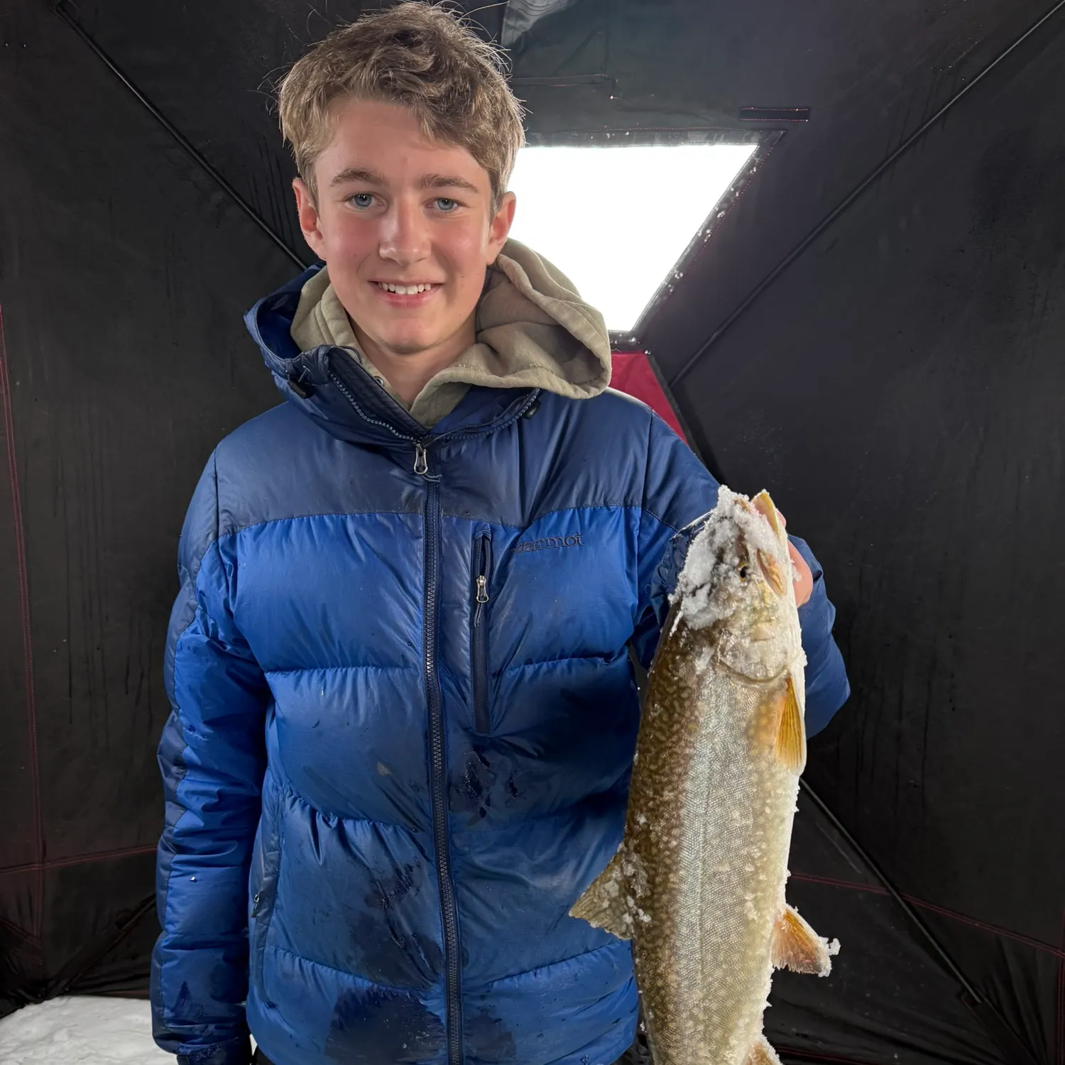 The most recent Splake catches on Fishbrain