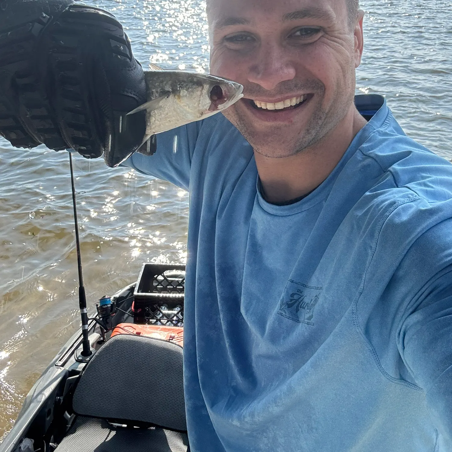 The most recent Skipjack herring catches on Fishbrain