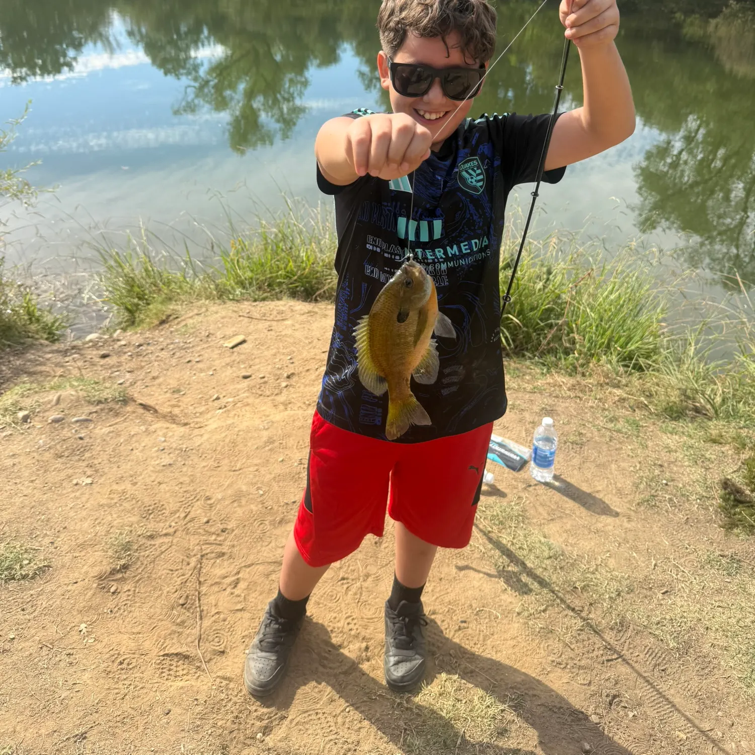 Bluegill caught on Fishbrain