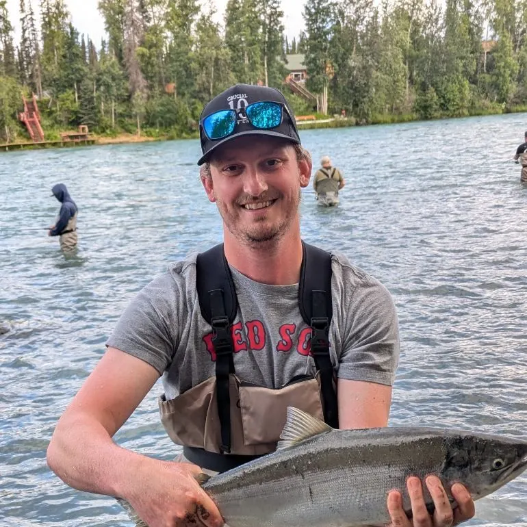 The most recent Sockeye salmon catches on Fishbrain