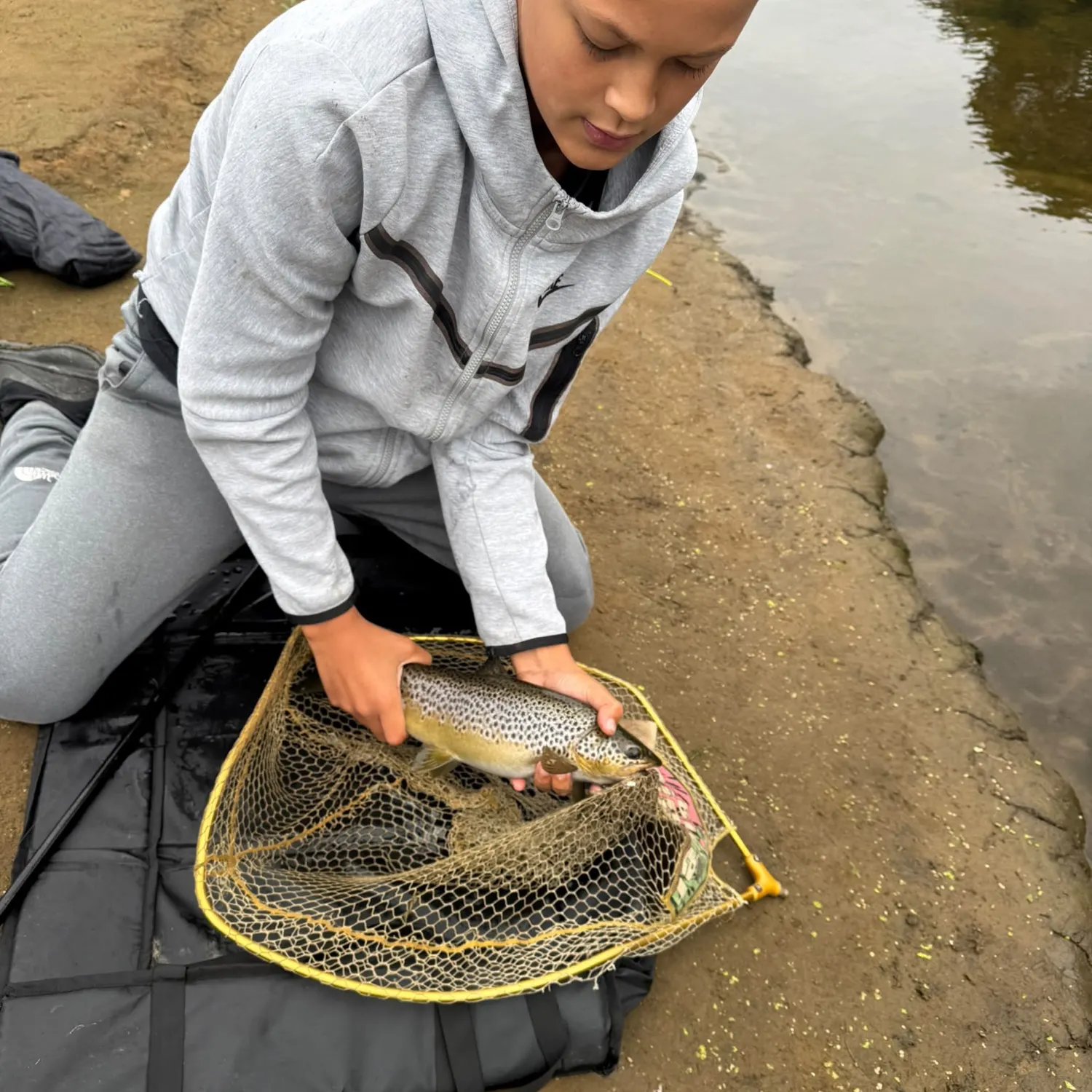 Brown trout caught on Fishbrain