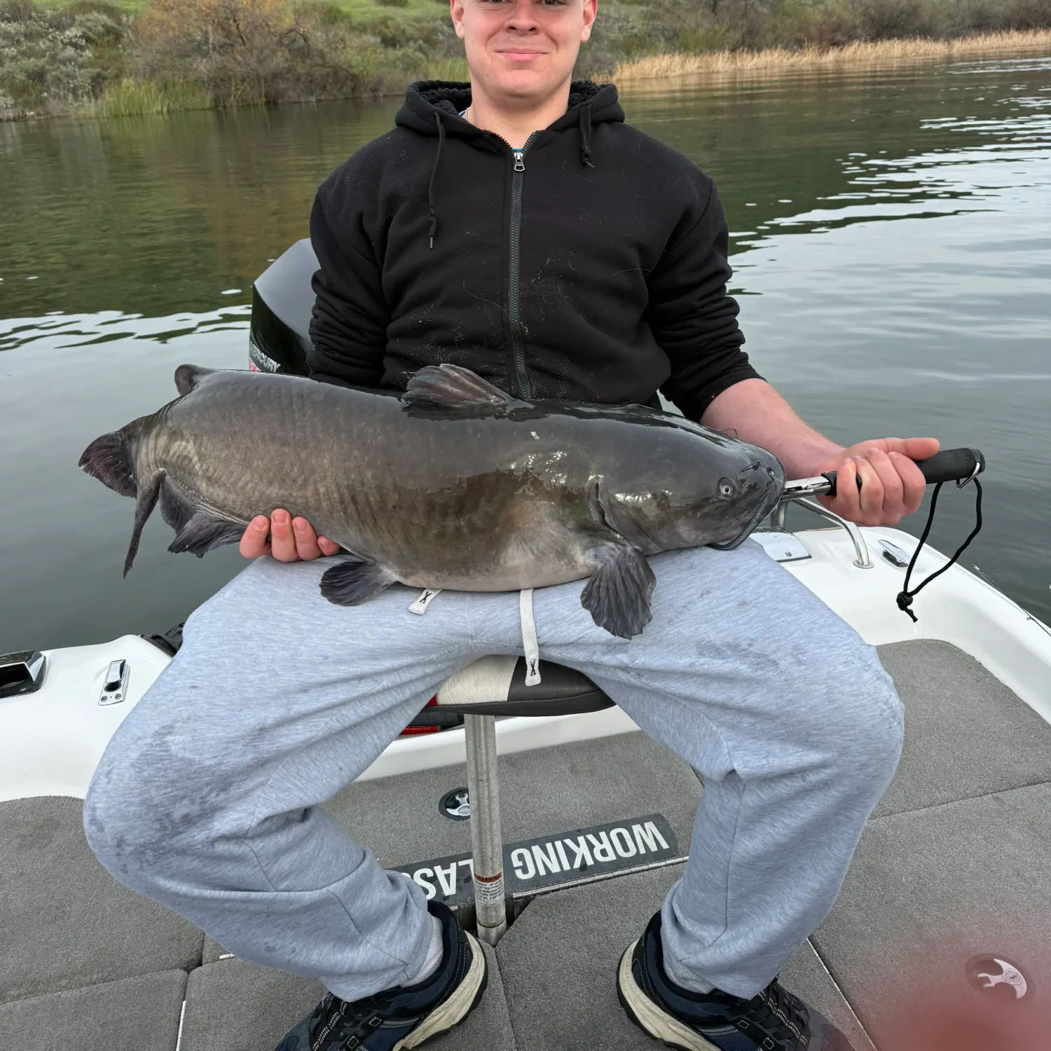 The most recent Blue catfish catches on Fishbrain