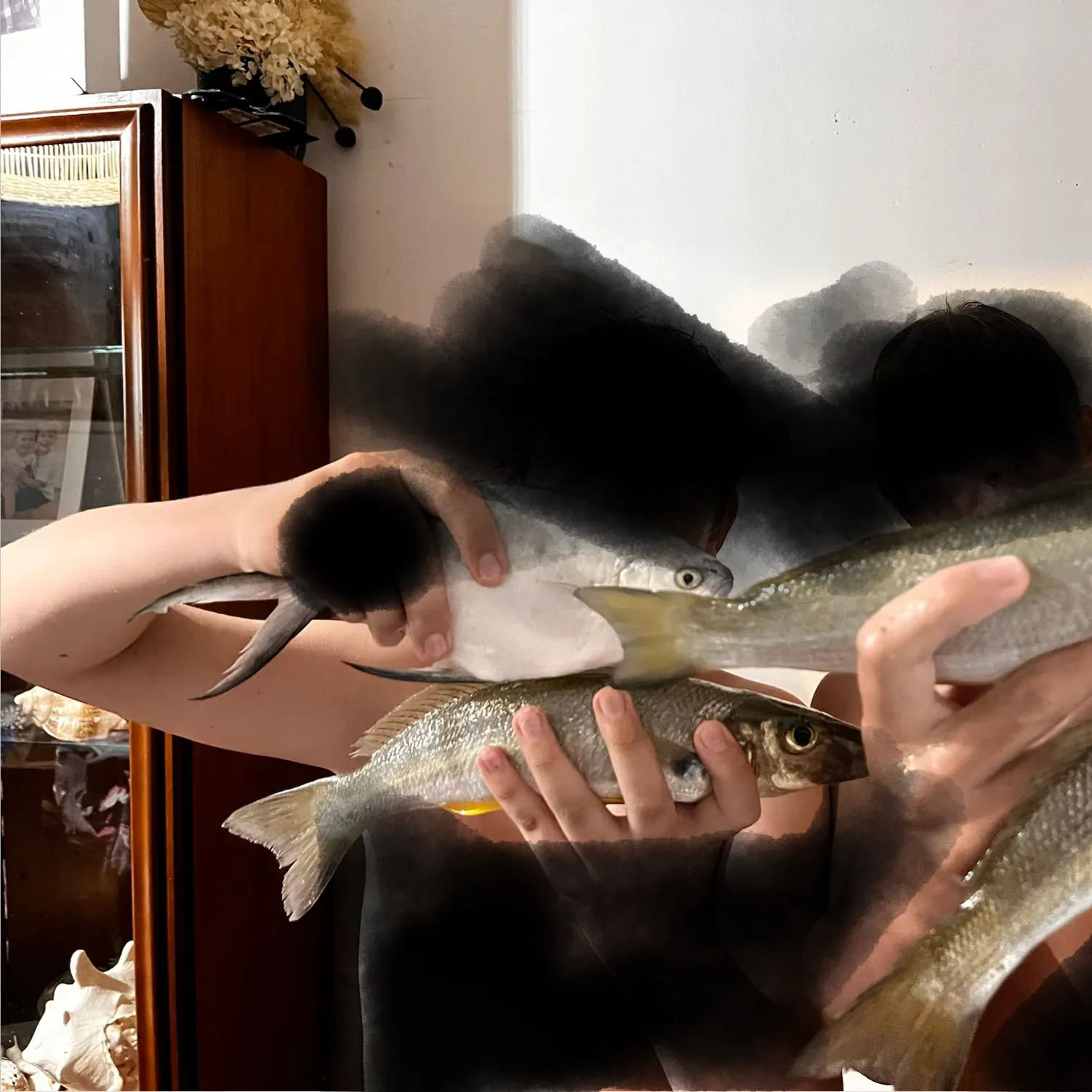 The most recent Largespotted dart catches on Fishbrain