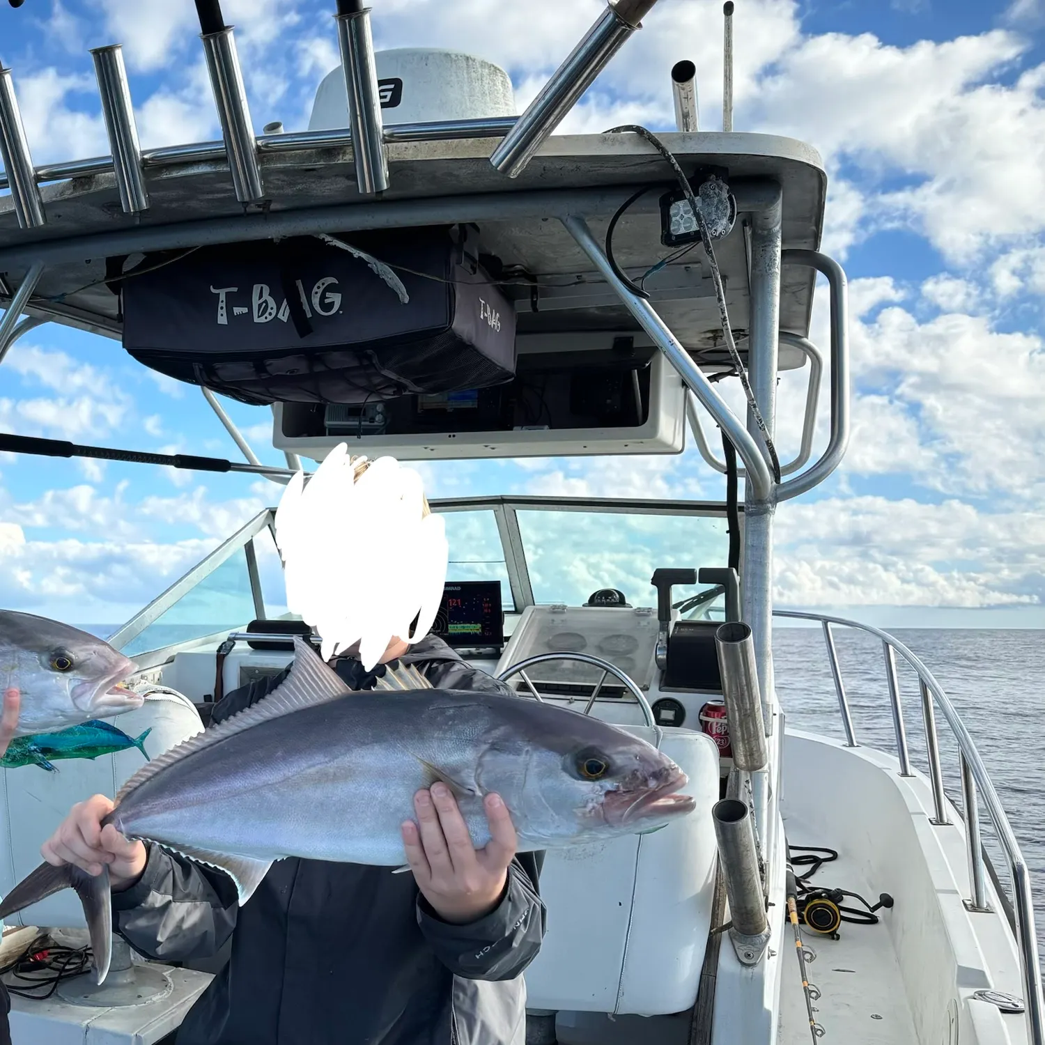 The most recent Greater amberjack catches on Fishbrain
