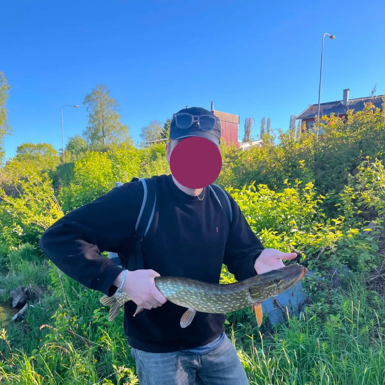 The most recent Northern pike catches on Fishbrain