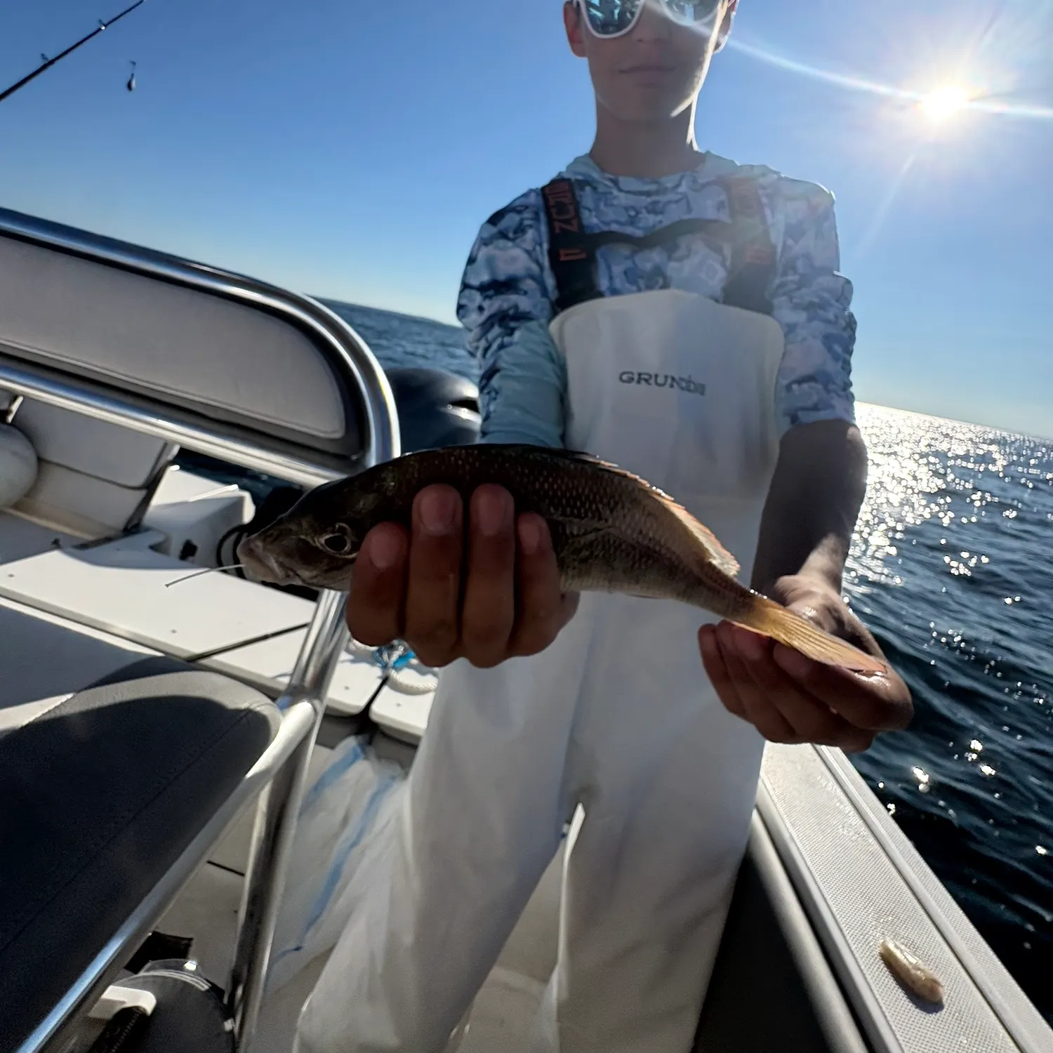Scup caught on Fishbrain