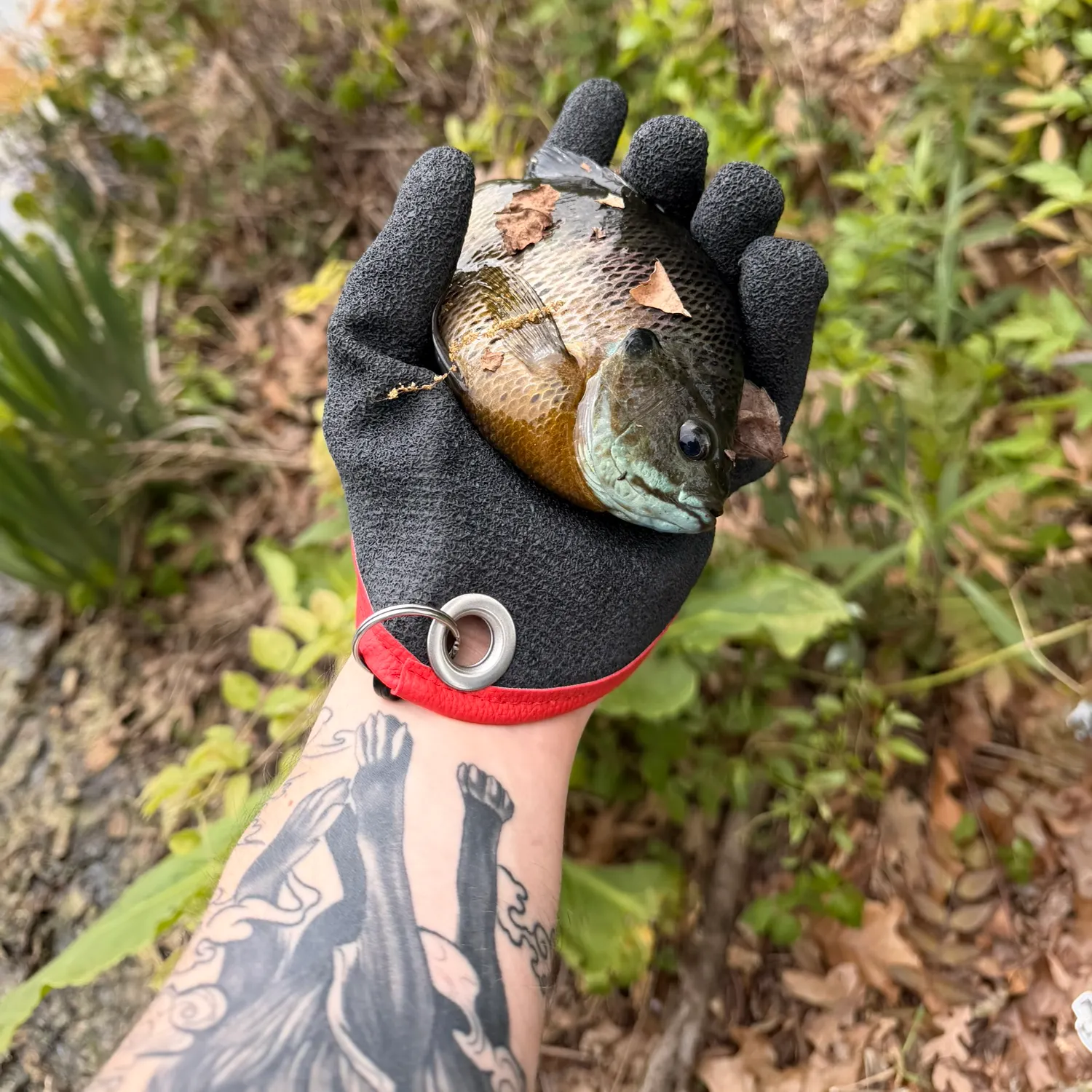catch