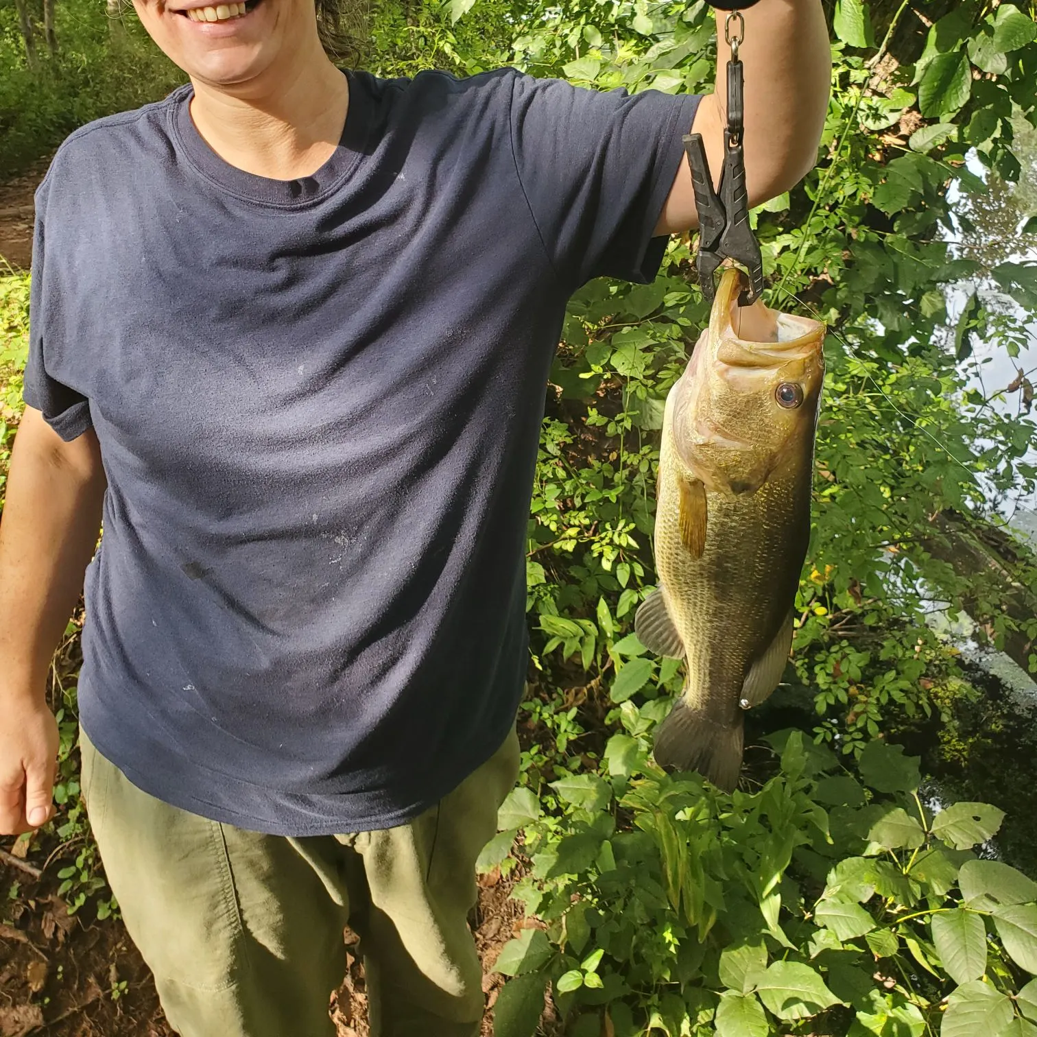 Largemouth bass caught on Fishbrain