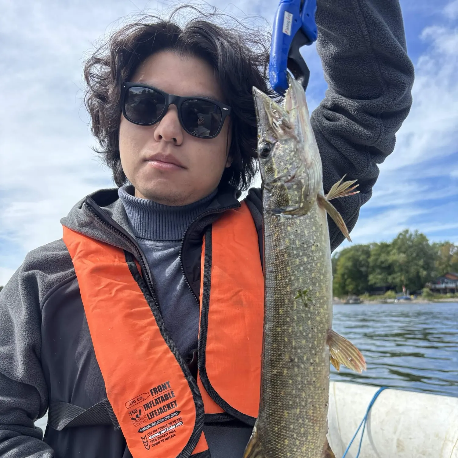 Northern pike caught on Fishbrain