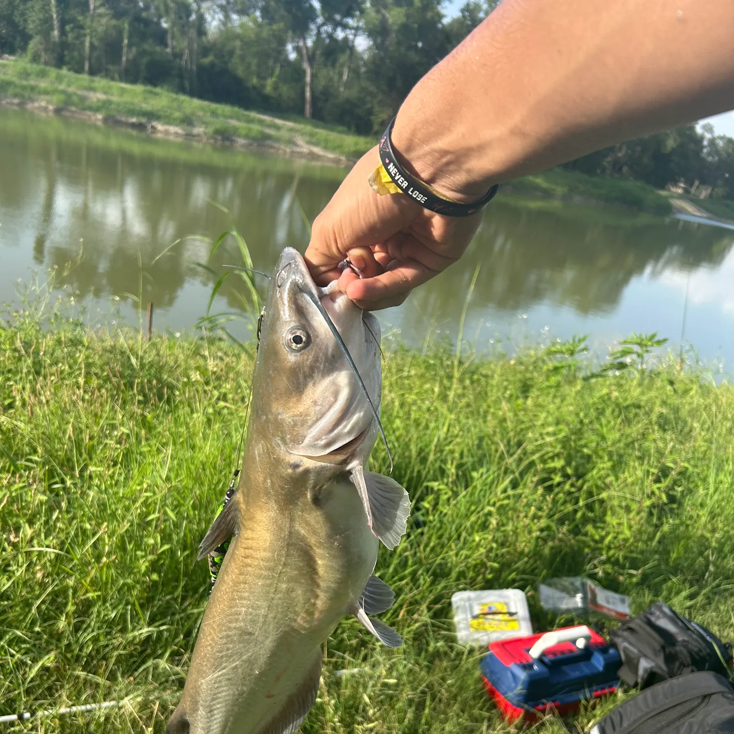 catch