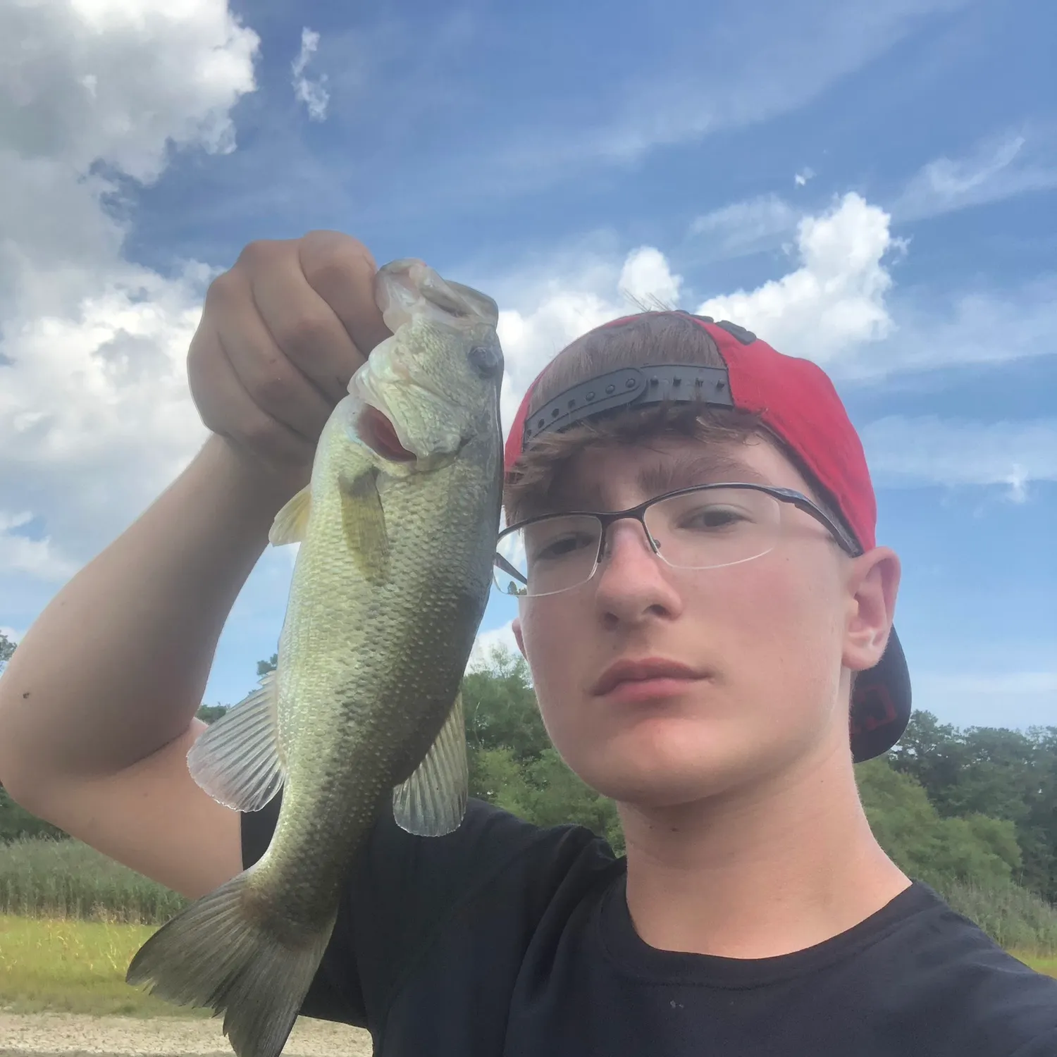 Largemouth bass caught on Fishbrain