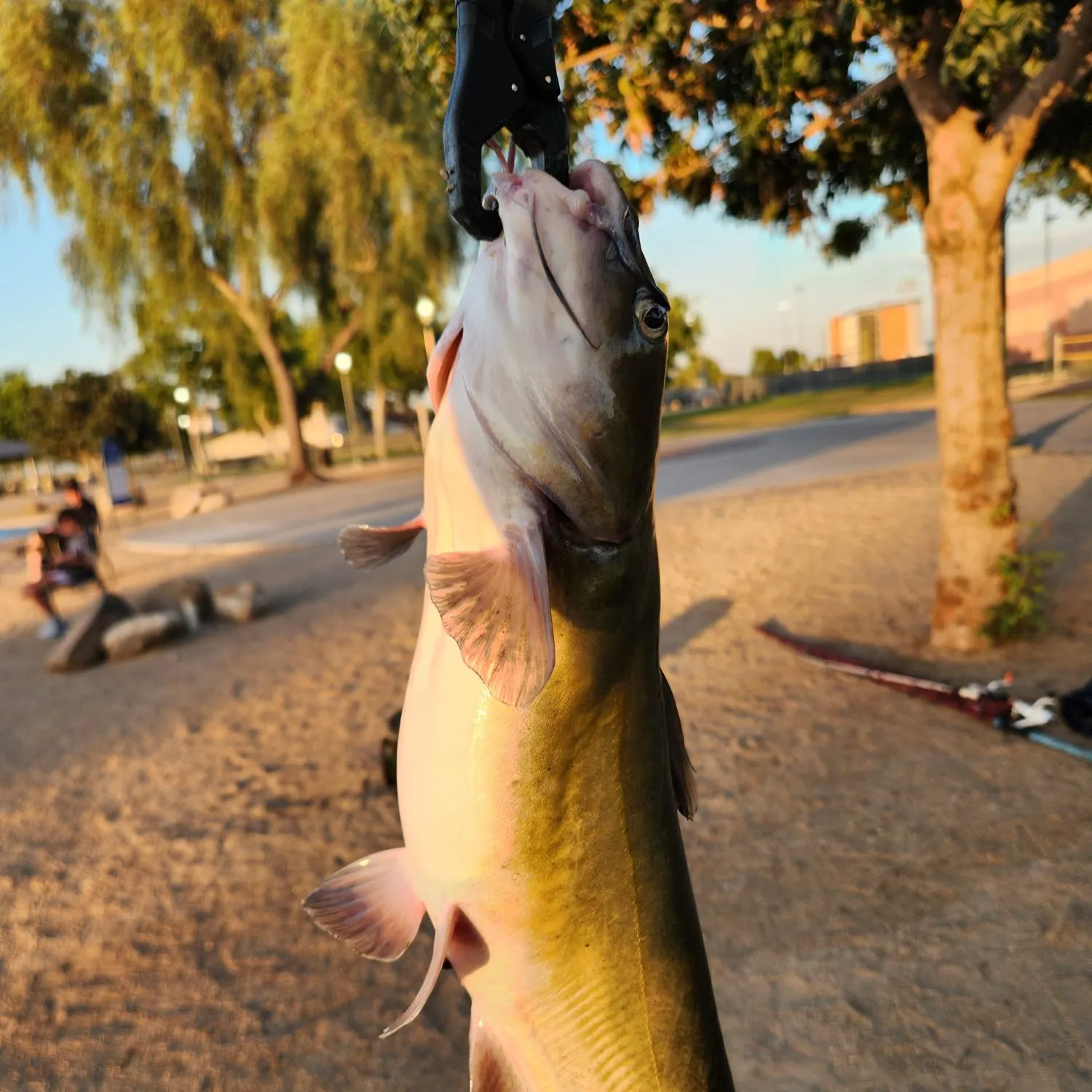 catch