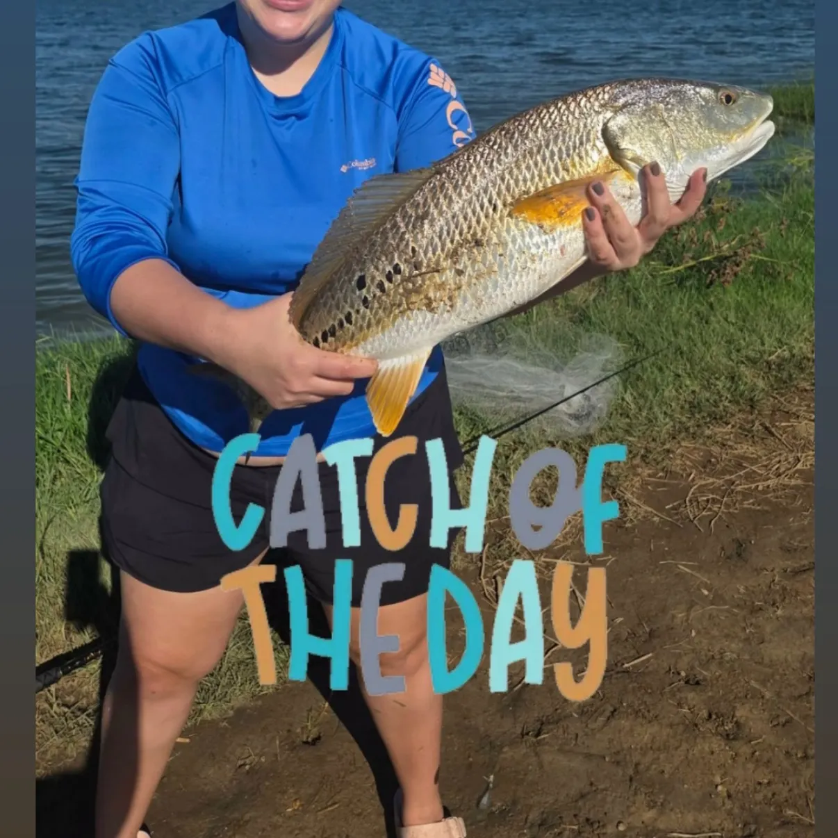 Red drum caught on Fishbrain