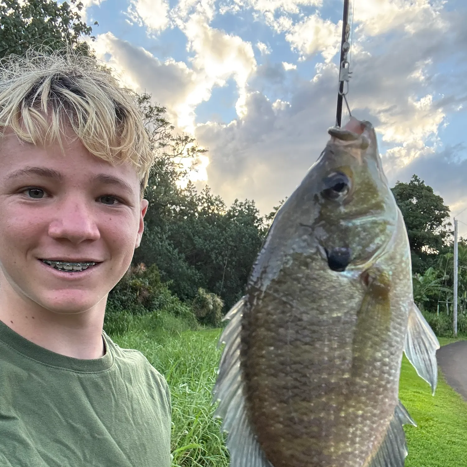 recently logged catches