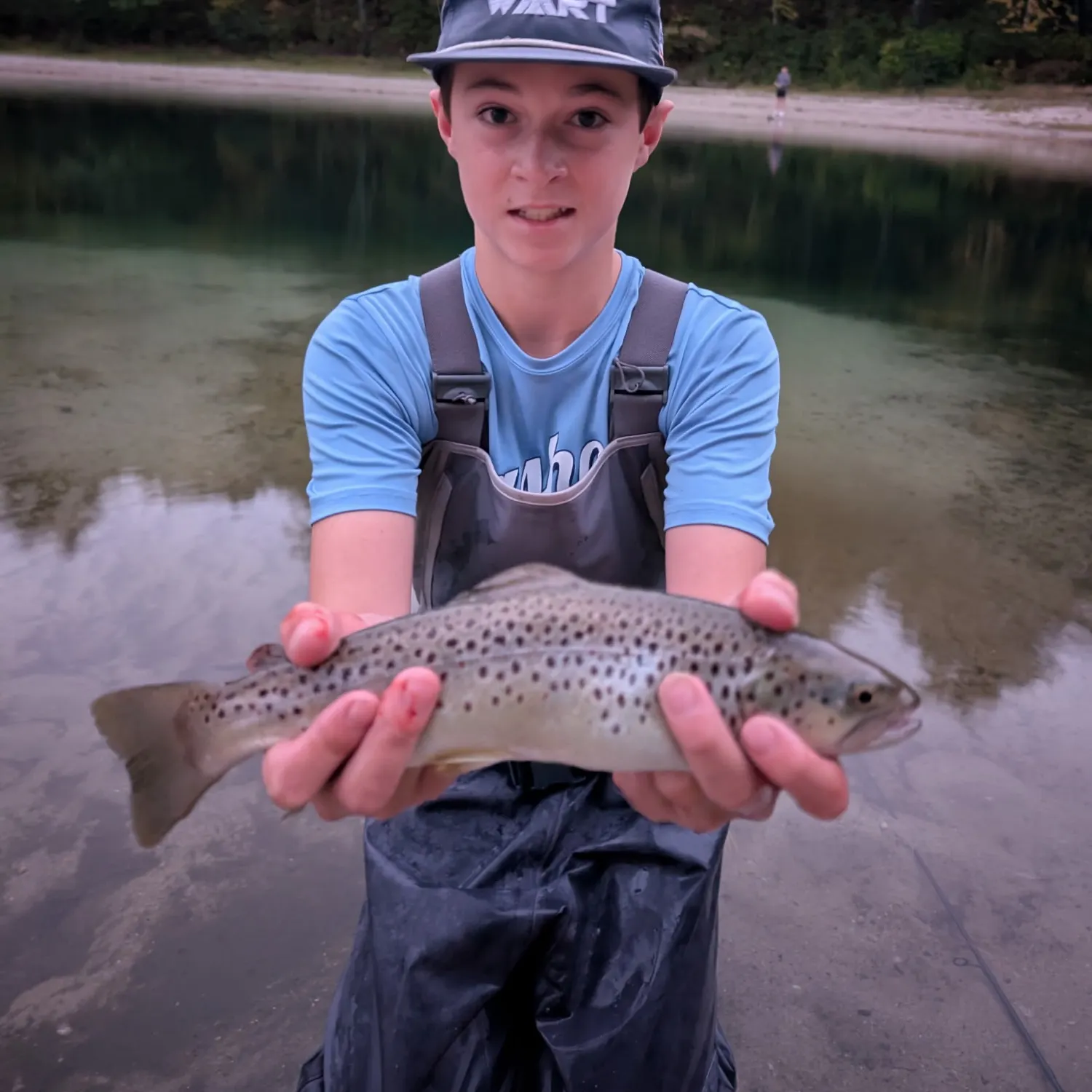 Brown trout caught on Fishbrain