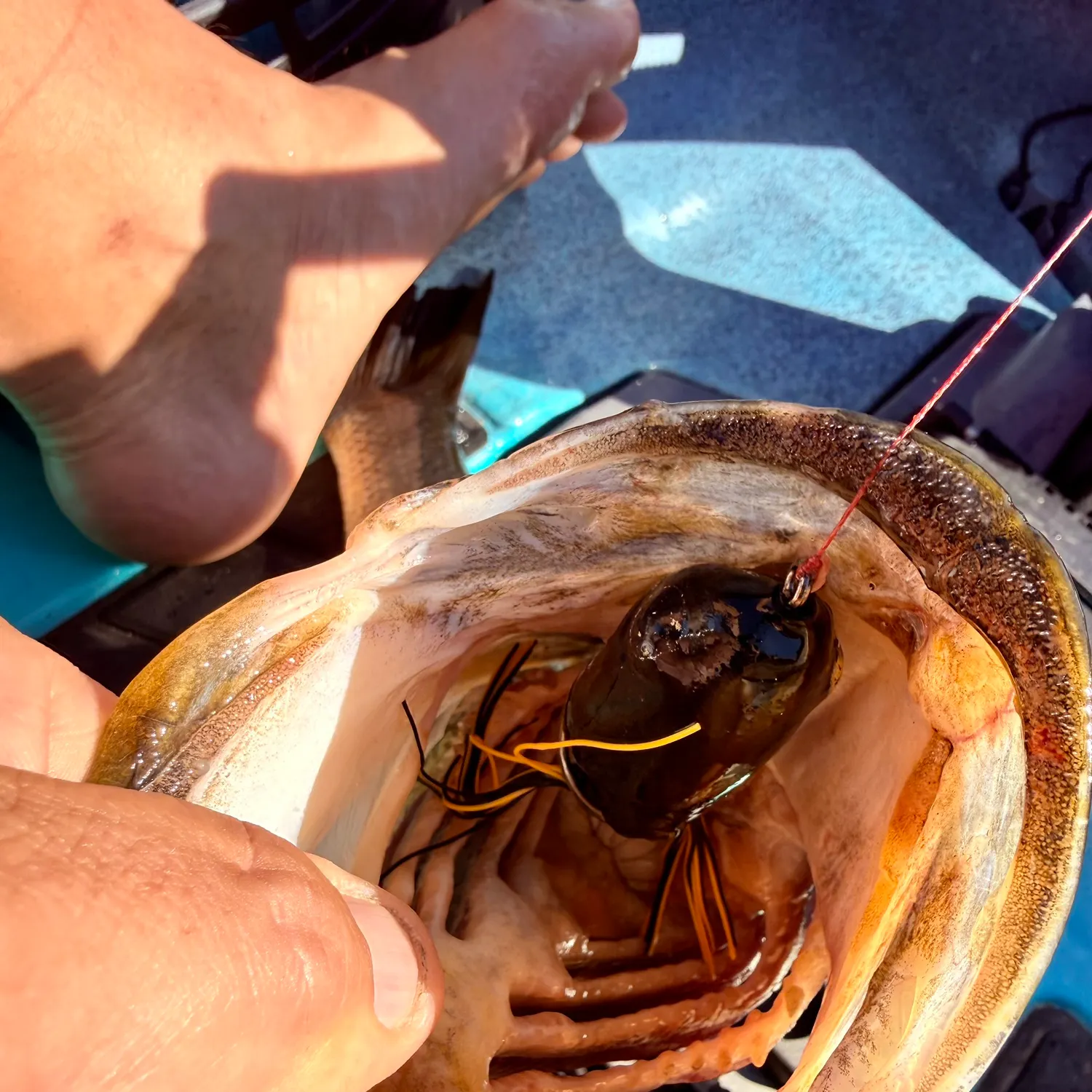 catch