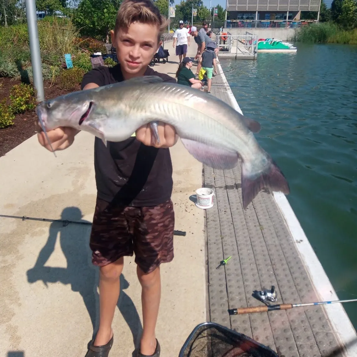 The most recent Arctic grayling catches on Fishbrain