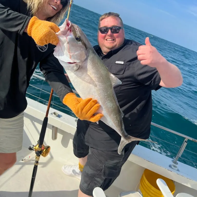 The most recent Greater amberjack catches on Fishbrain