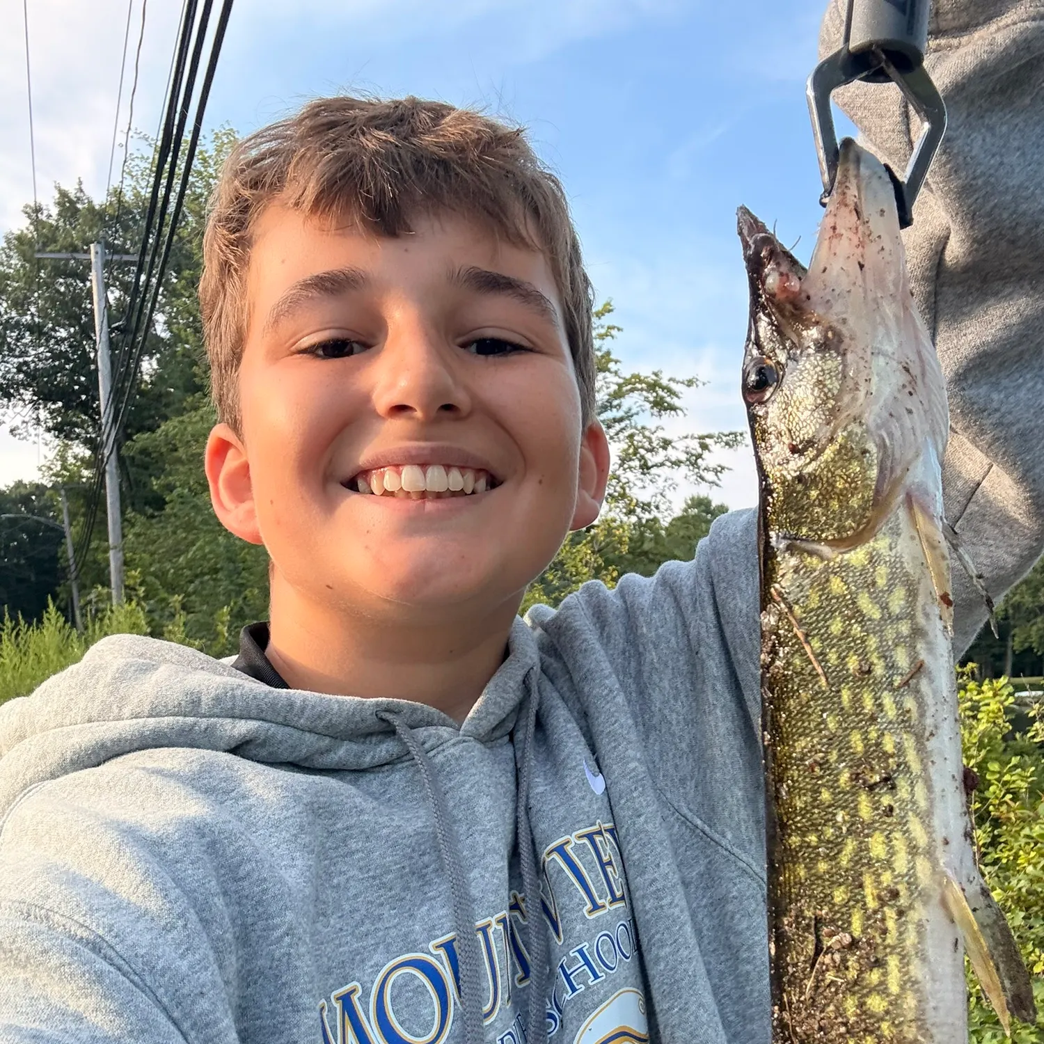 Chain pickerel caught on Fishbrain