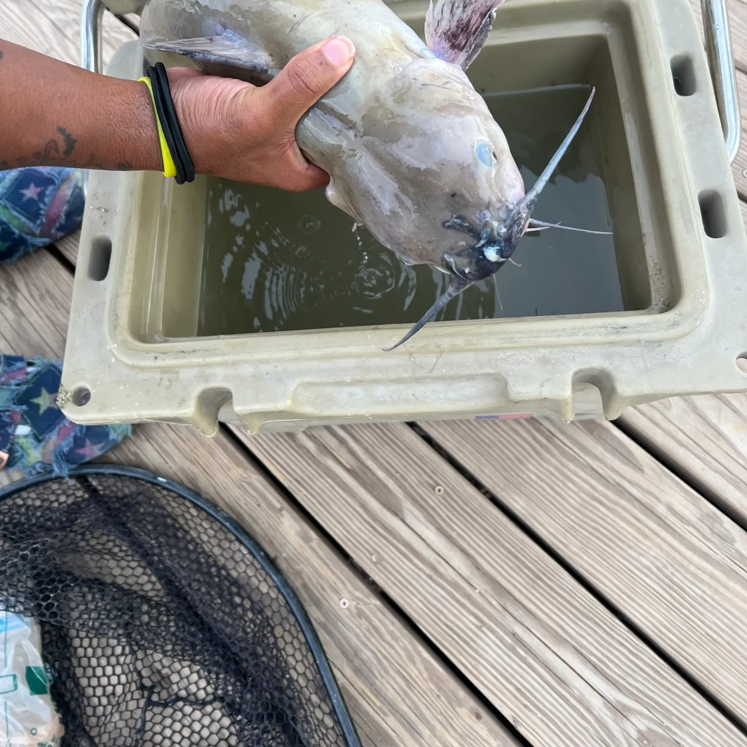 catch