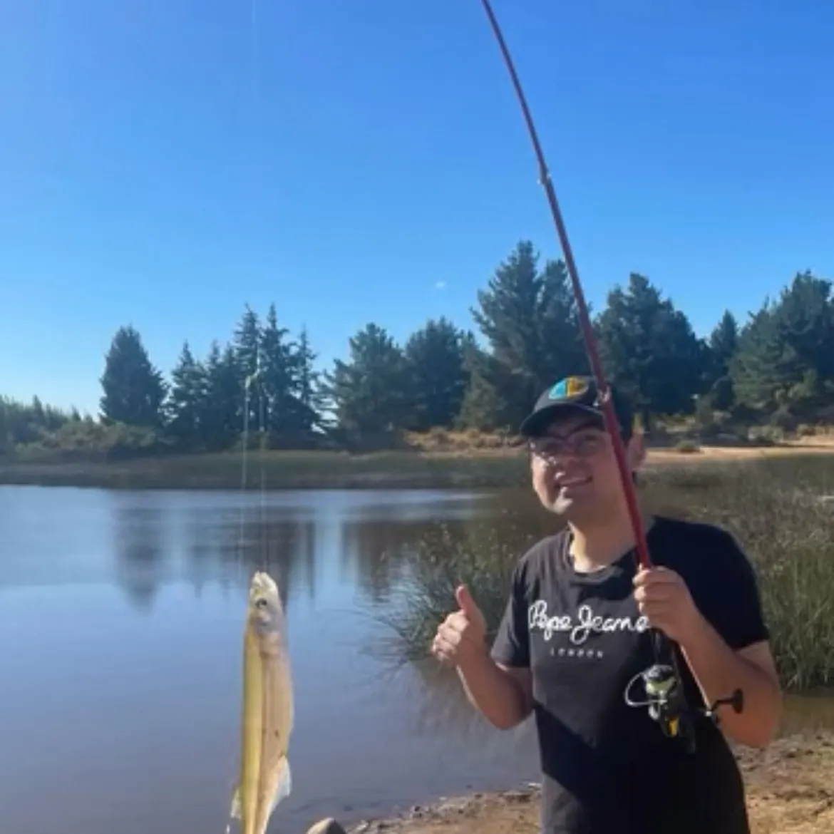 The most recent Argentinian silverside catches on Fishbrain