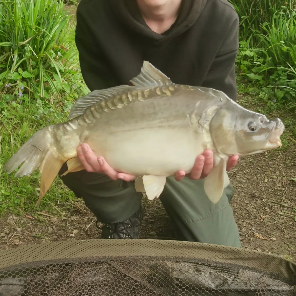 The most recent Leather carp catches on Fishbrain