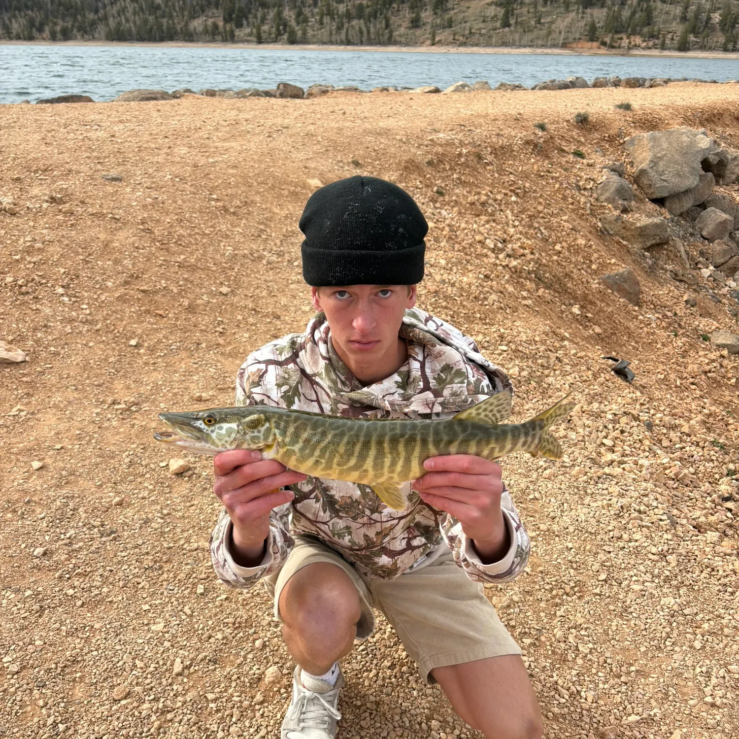 The most recent Tiger muskellunge catches on Fishbrain