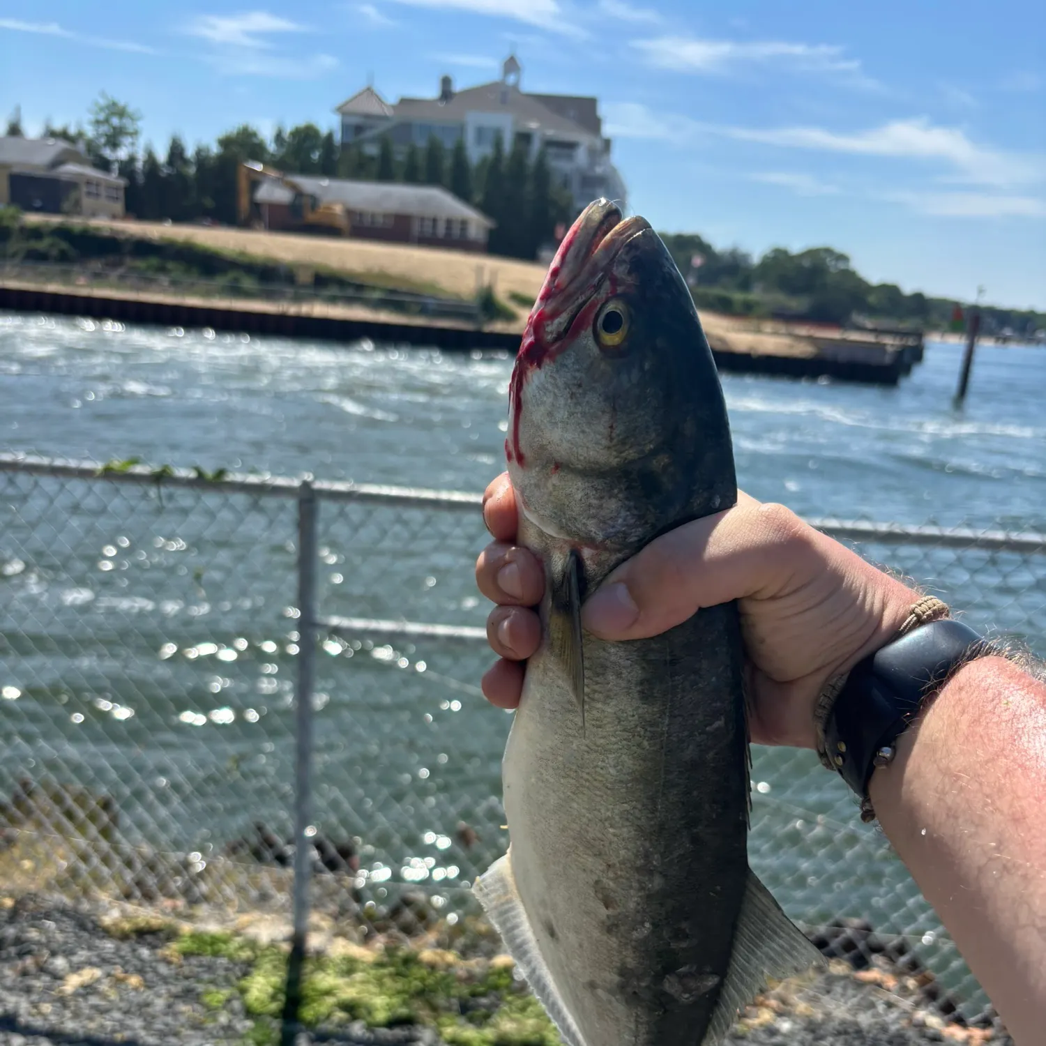 catch