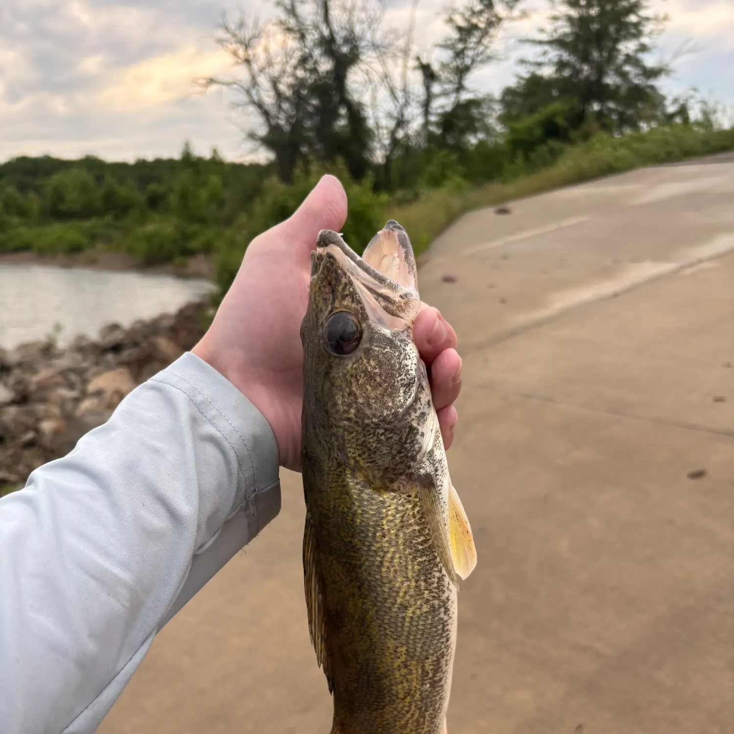 catch