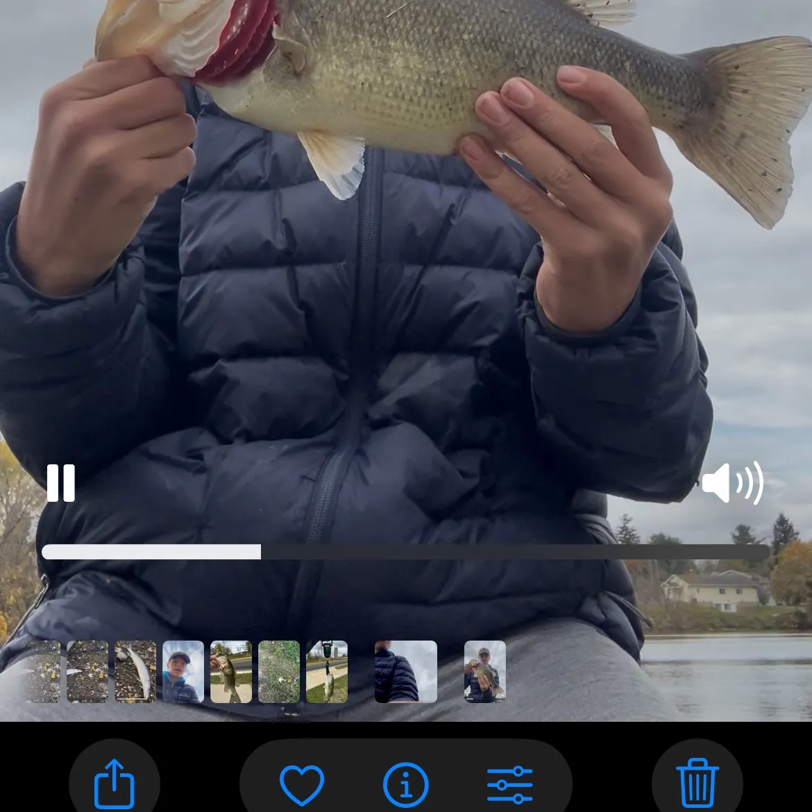 recently logged catches