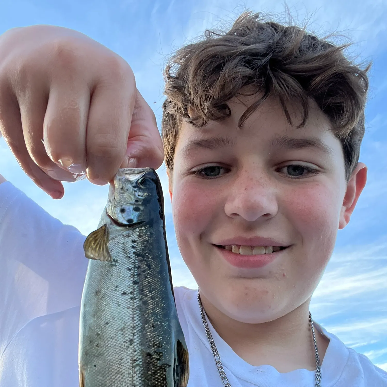The most recent Landlocked atlantic salmon catches on Fishbrain