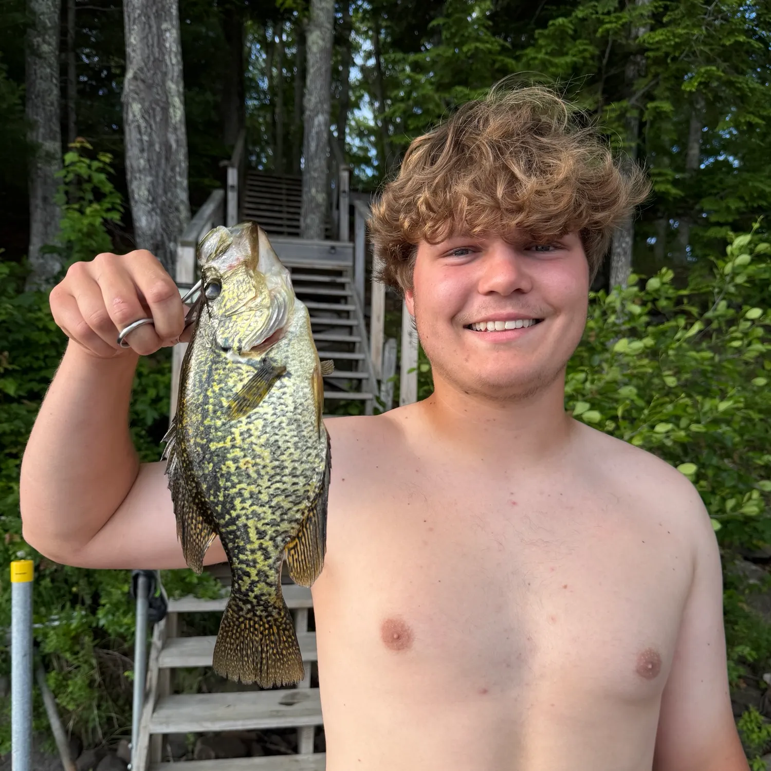 Black crappie caught on Fishbrain